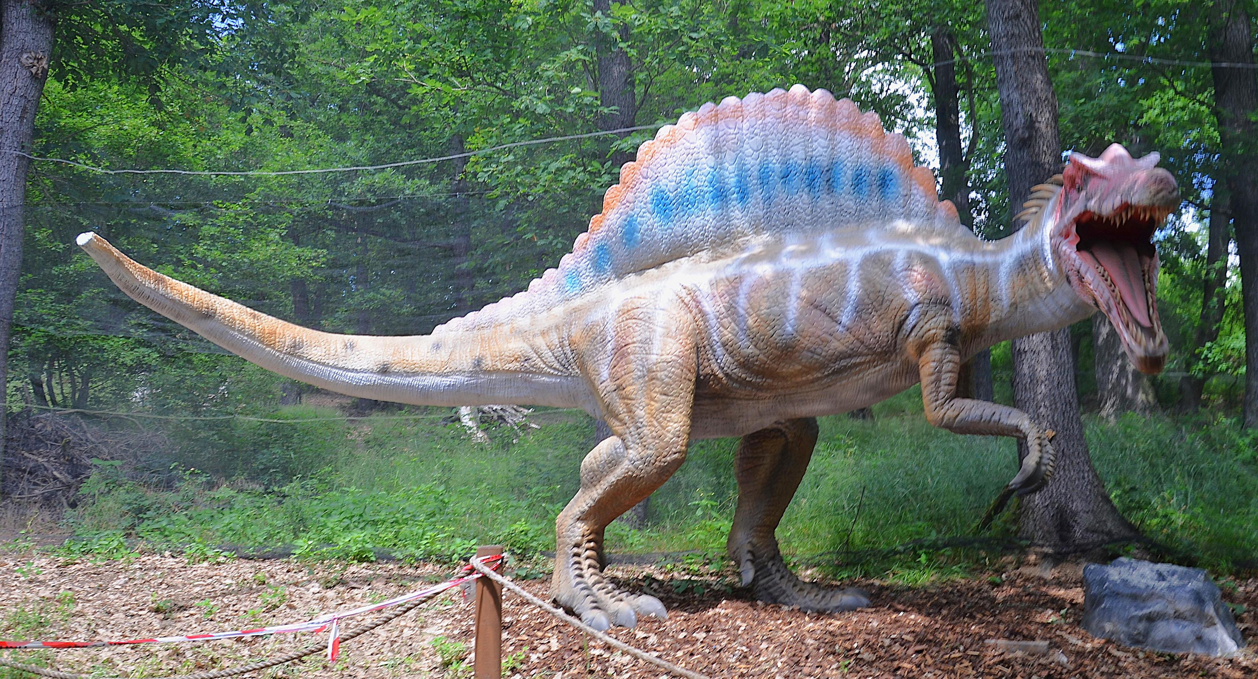 DinoLive foto 4