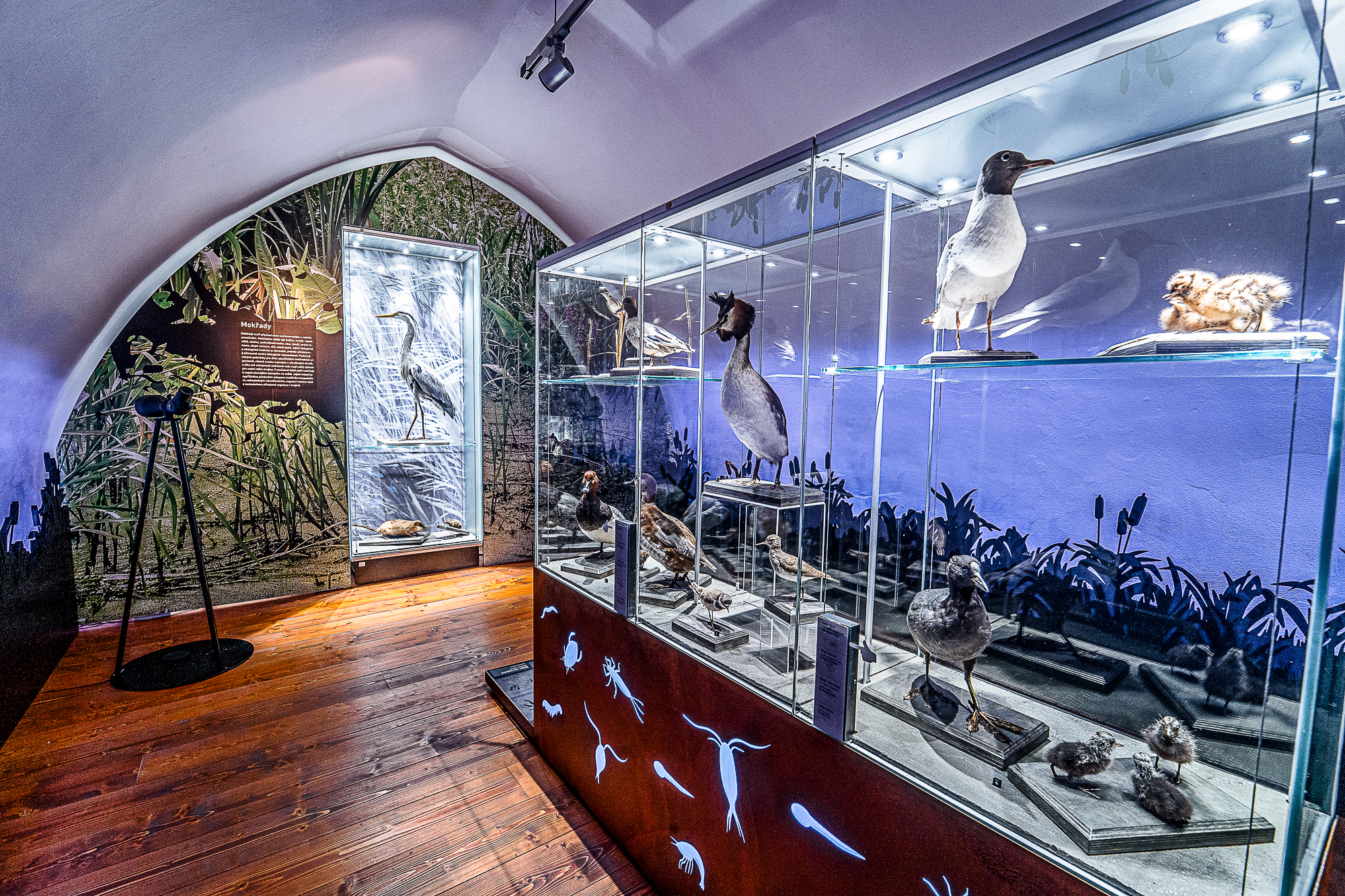 Muzeum Vysočiny Jihlava foto 4