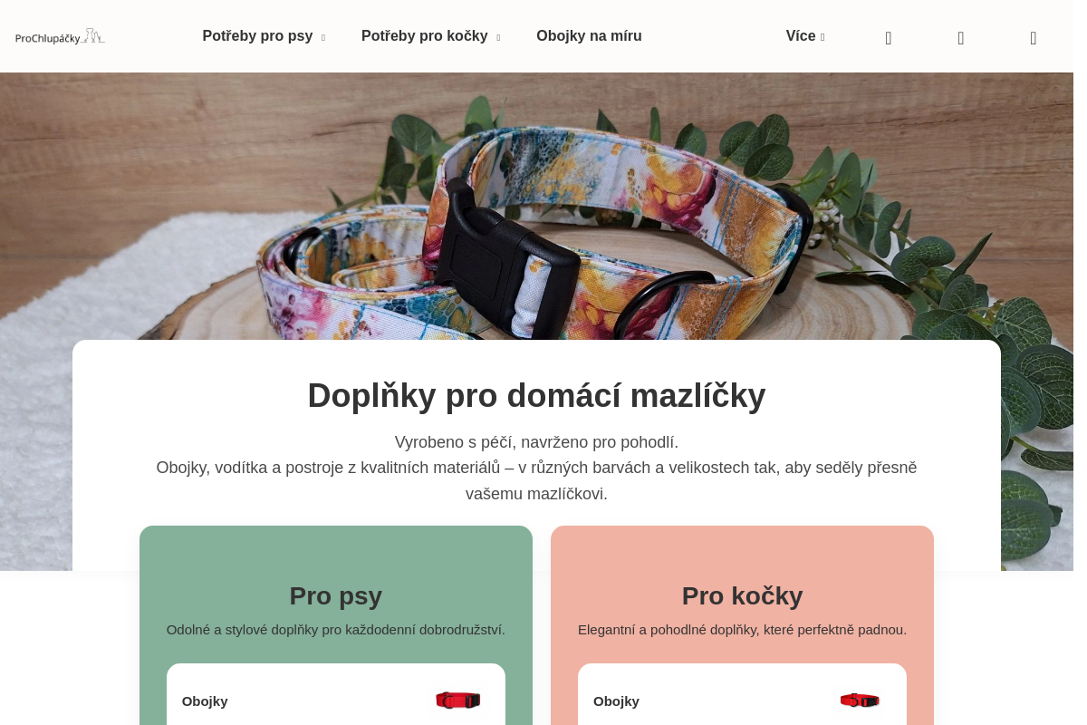 ProChlupáčky.cz