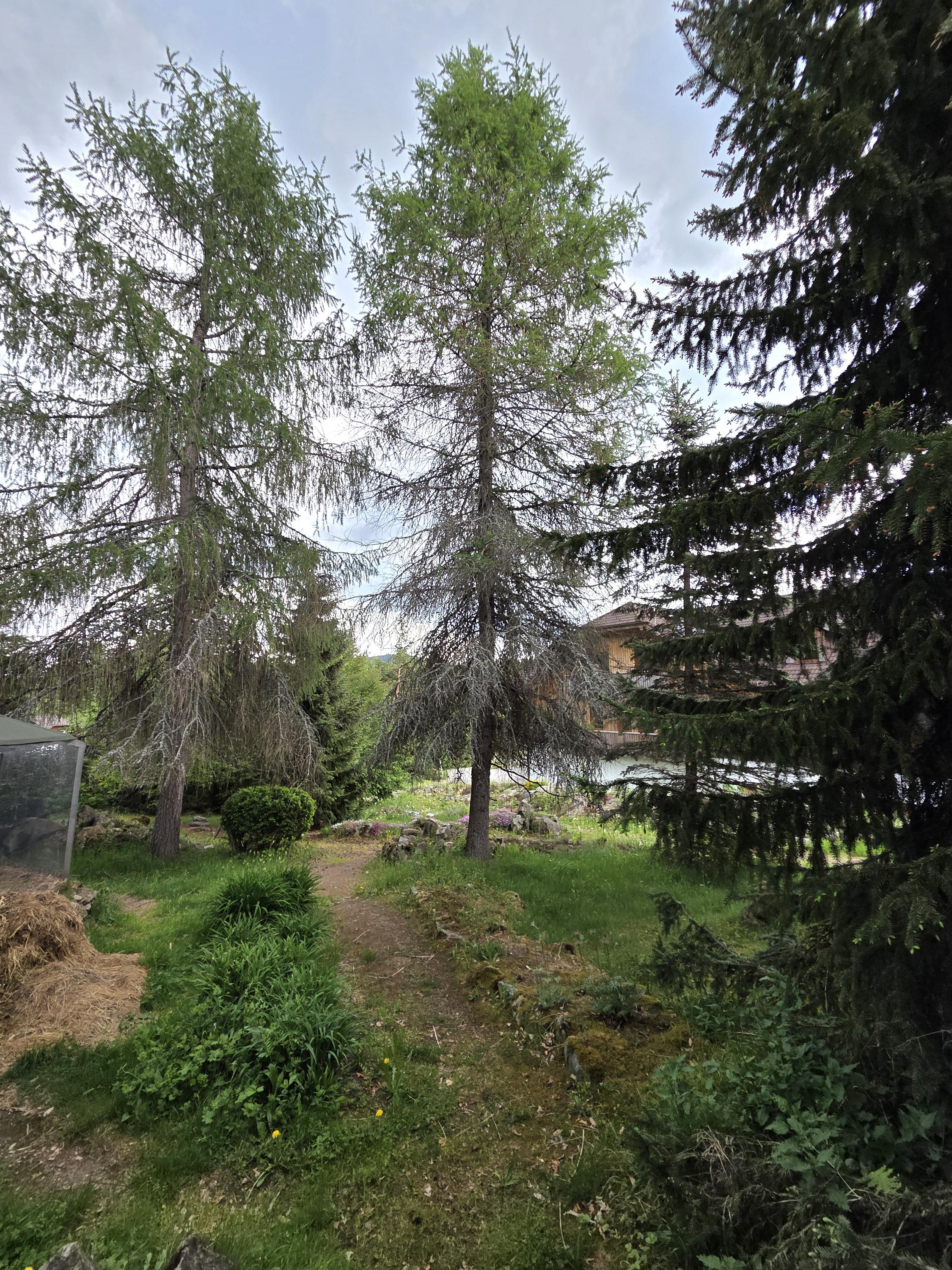 Horská botanická zahrada foto 4