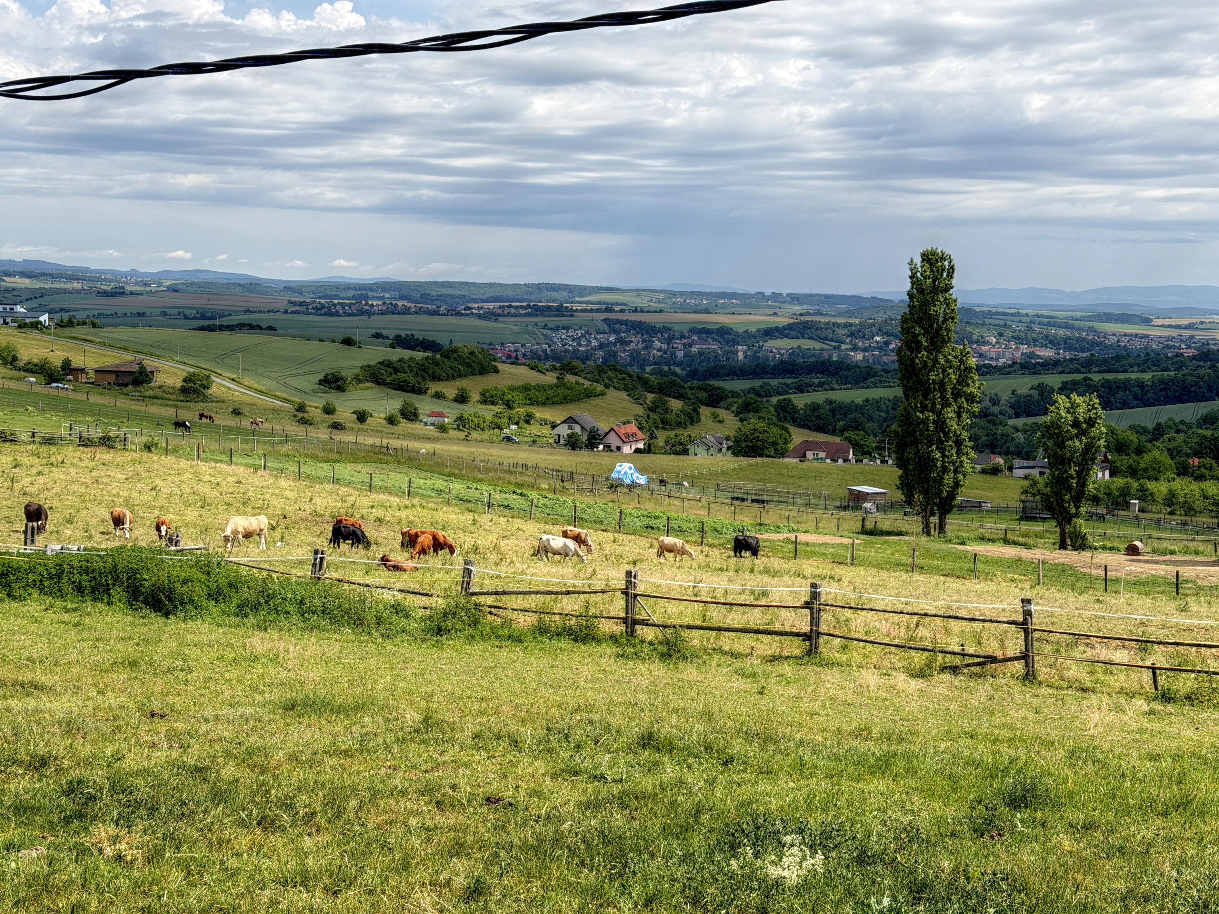 Farma Žlutava foto 3