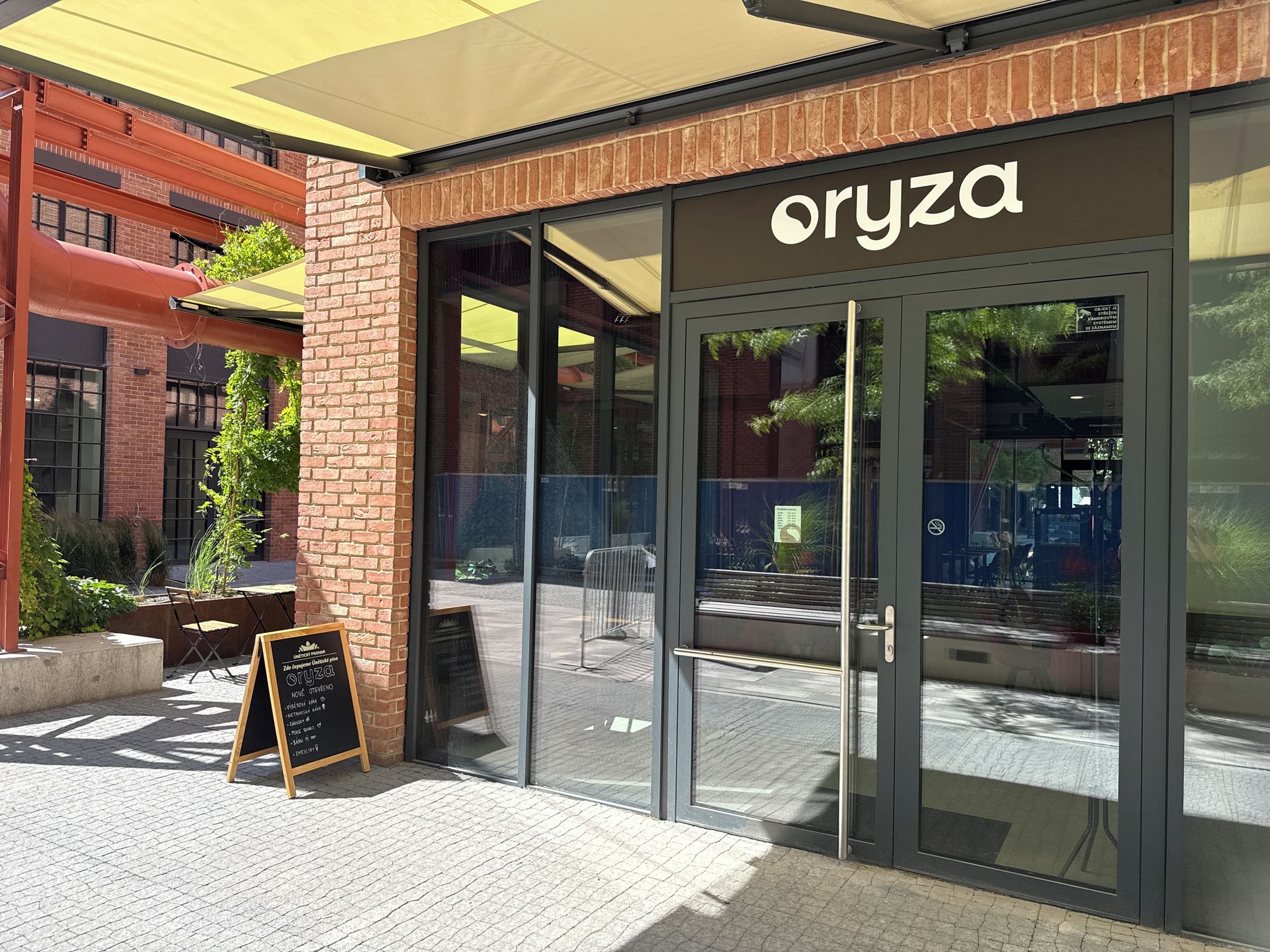 Oryza