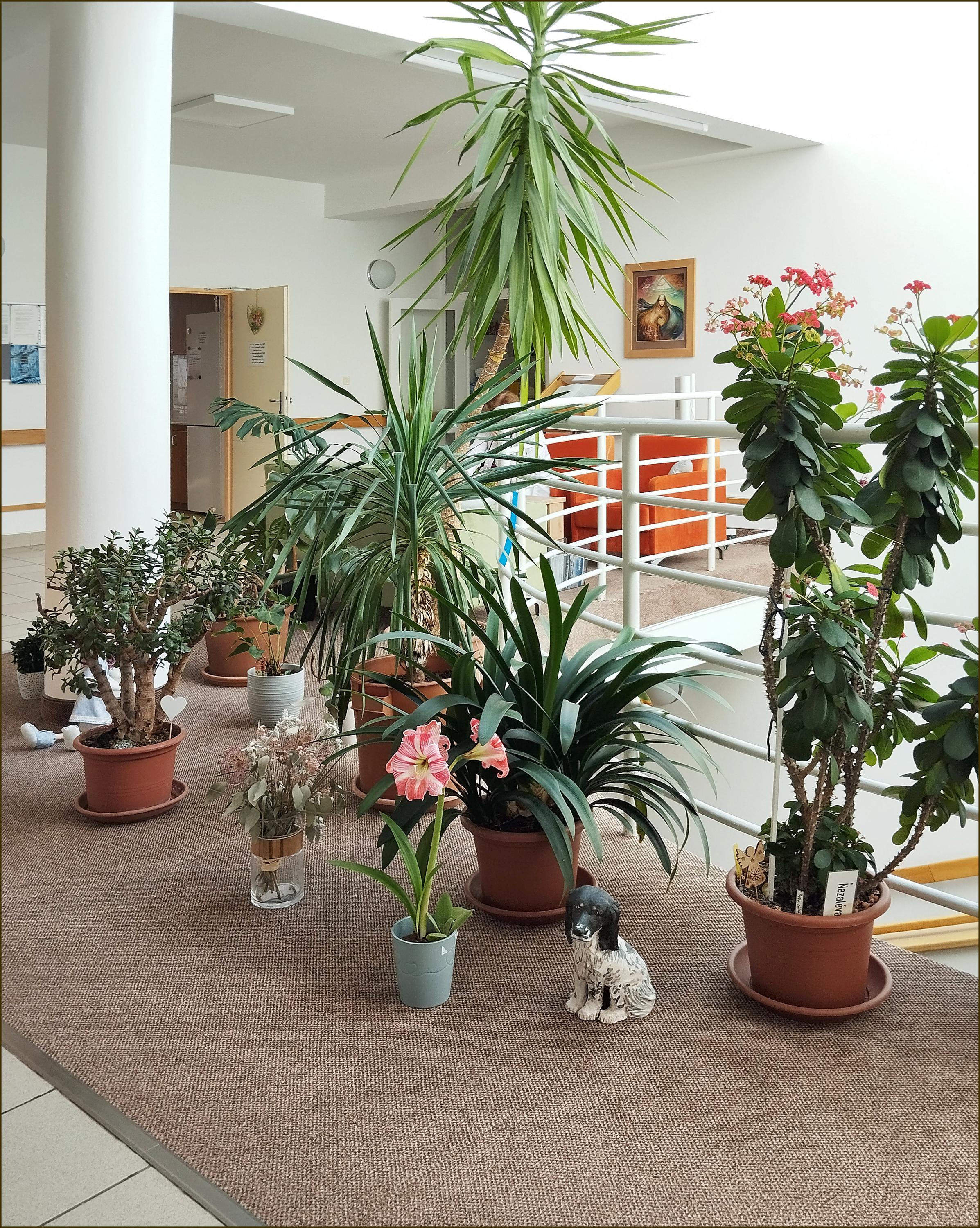 Hospic Anežky České foto 6