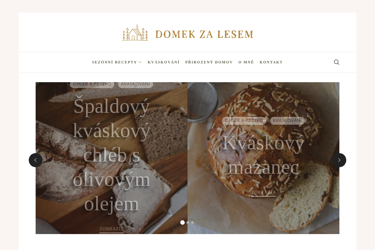 Domekzalesem.cz