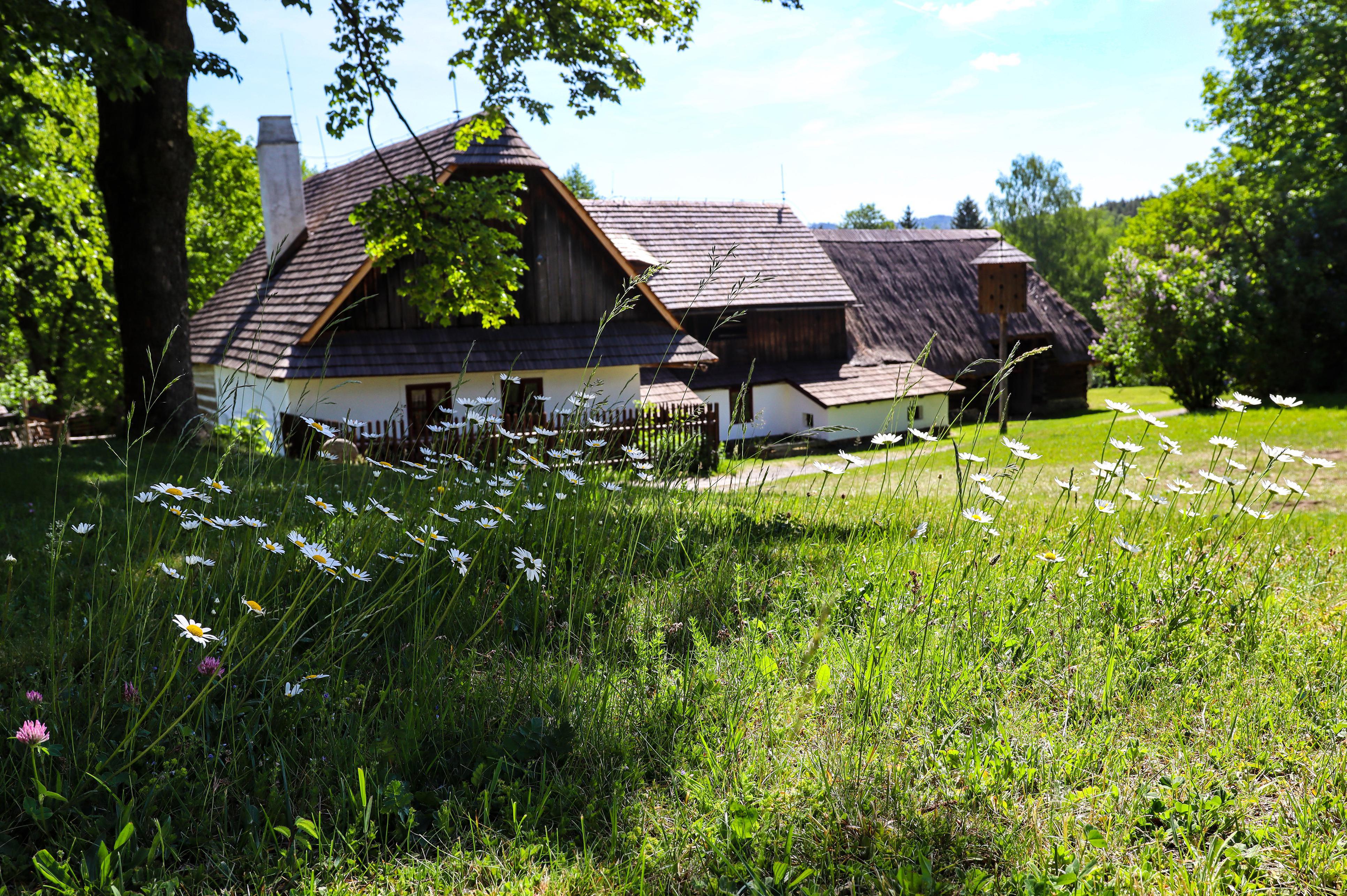 Muzeum v přírodě Vysočina