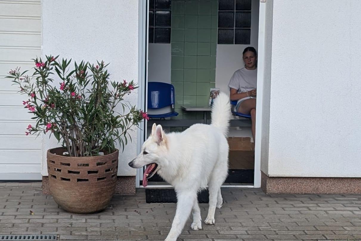 Veterinární ordinace OptimaVet s.r.o.