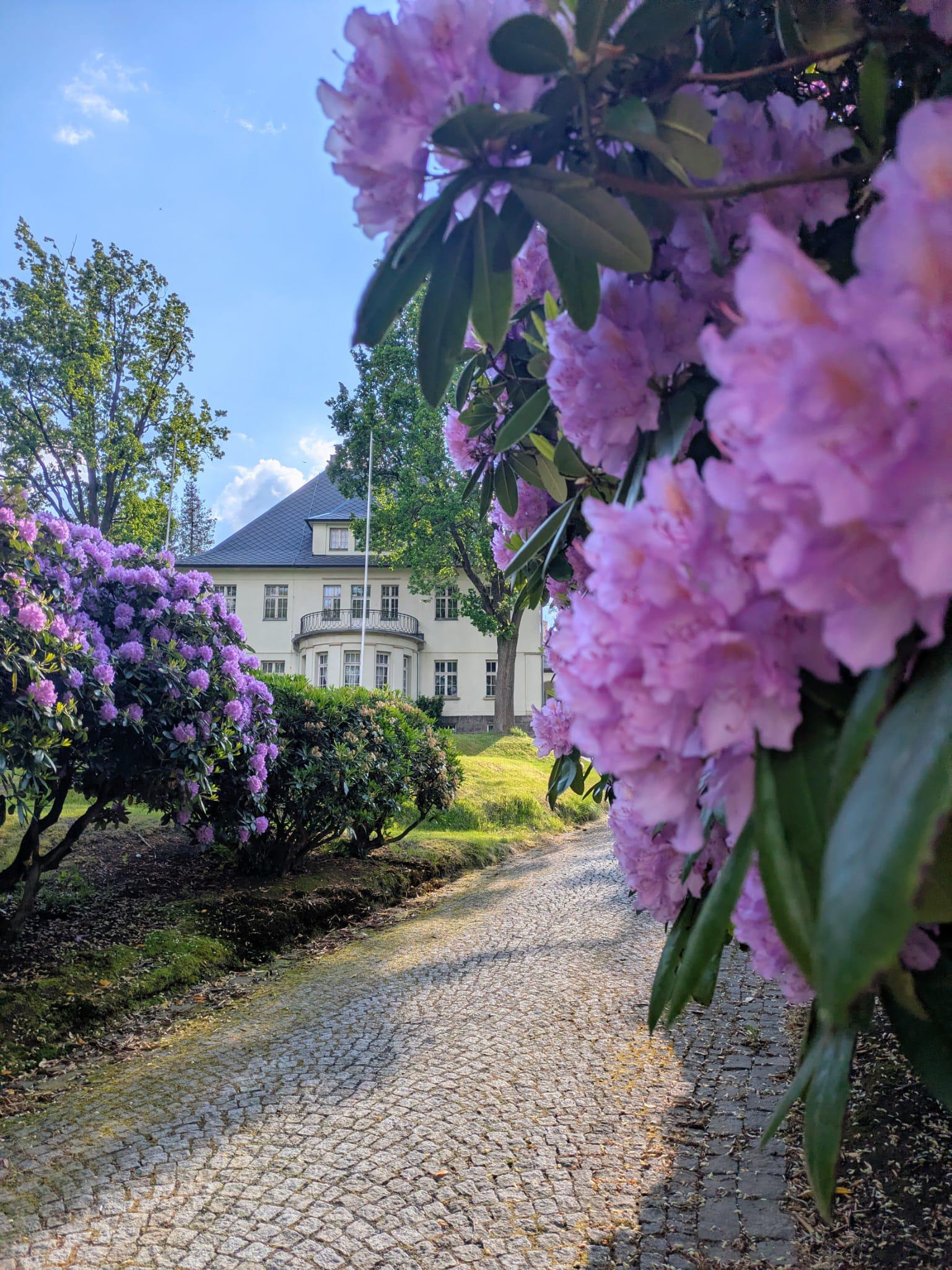Vilémov - obecní úřad foto 3