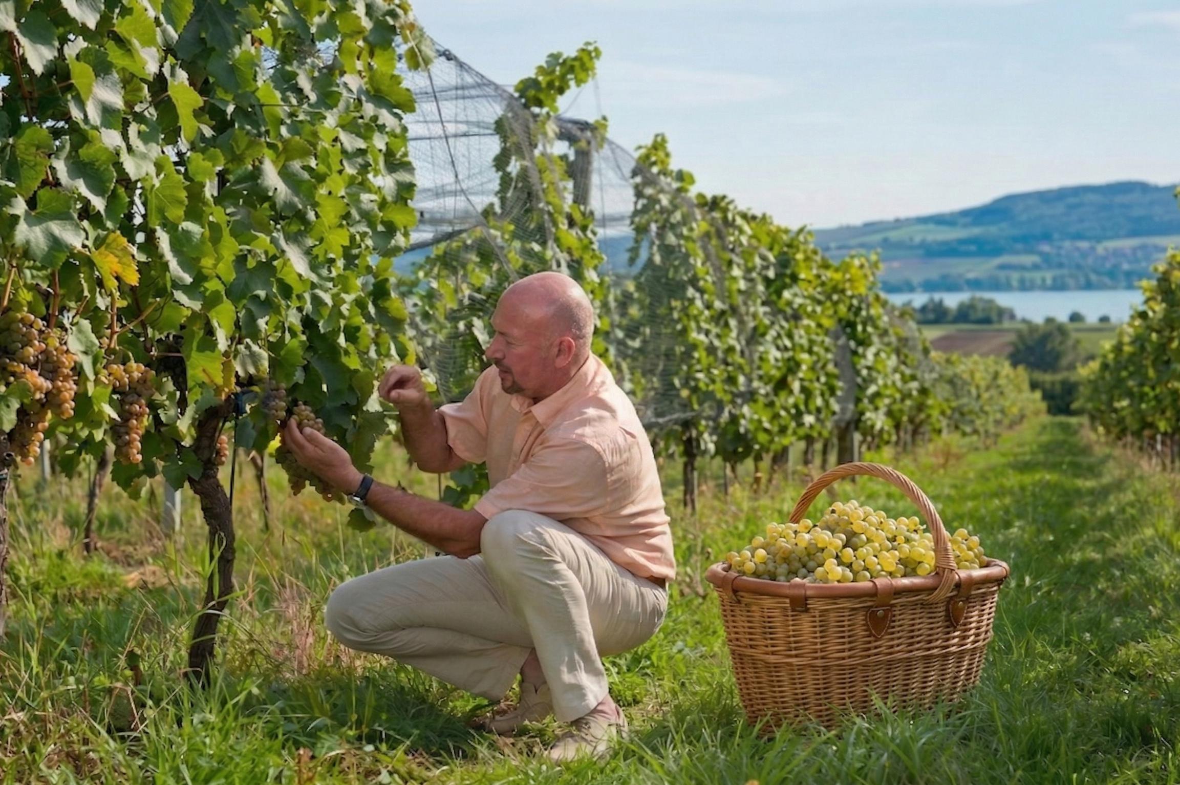 MARCUSWINE TRADING a.s.