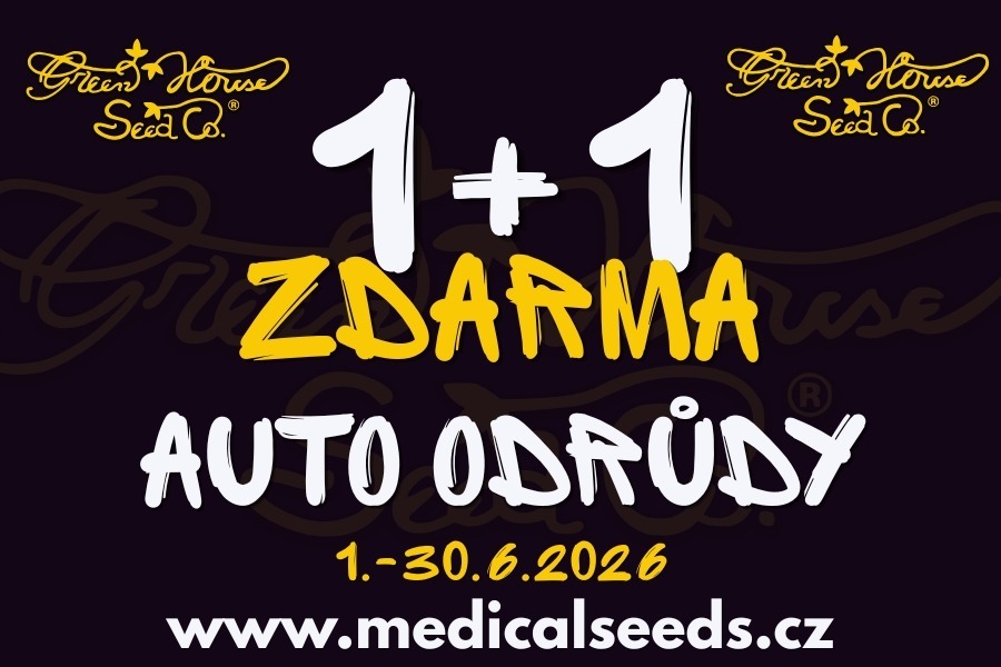AKCE 1+1 ZDARMA