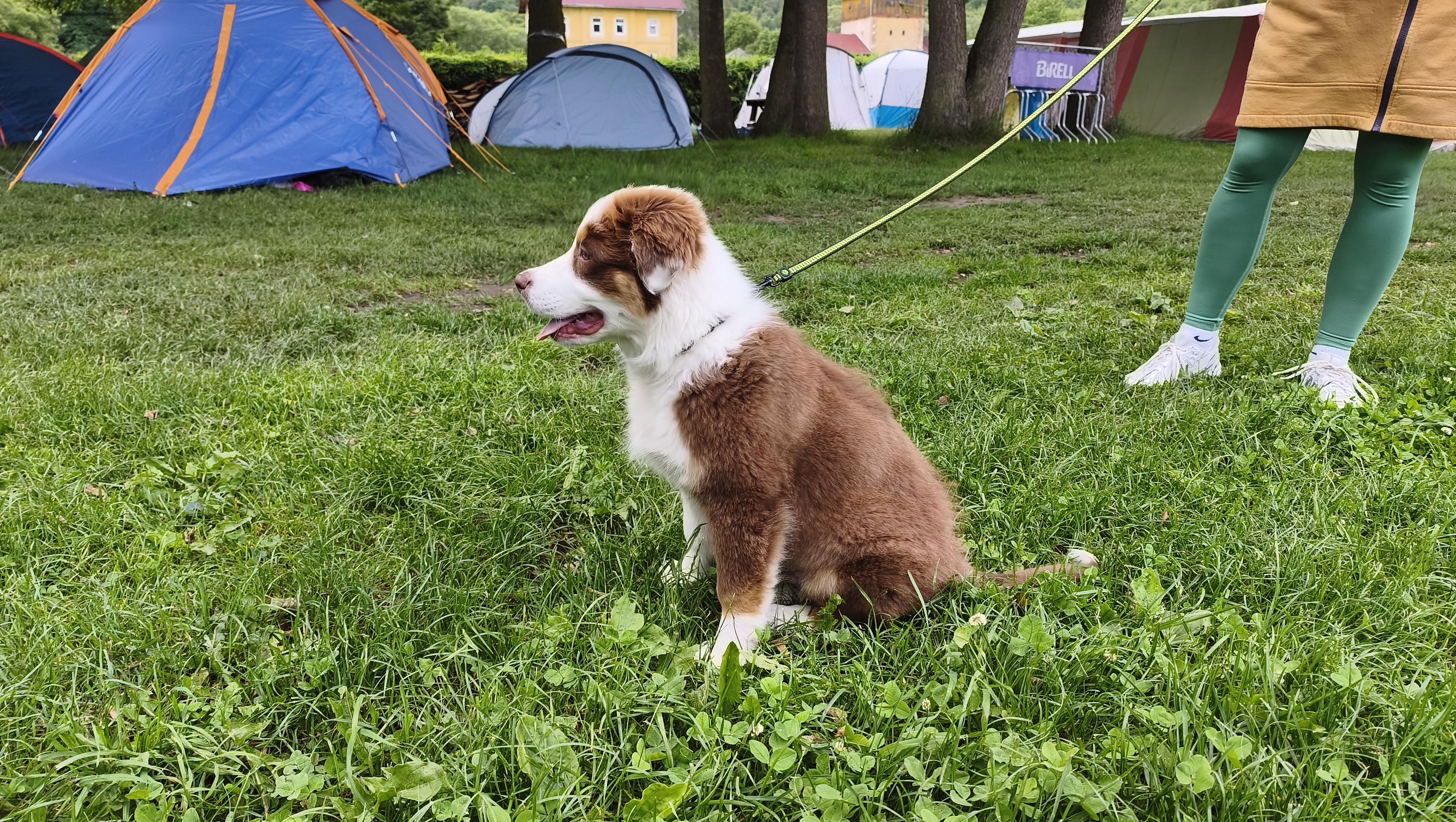 Kemp Vojkovice foto 6