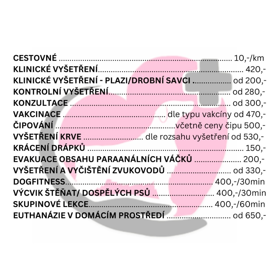 Výjezdová veterinární služba ArtyVet - MVDr. Vendula Stoklasová foto 3