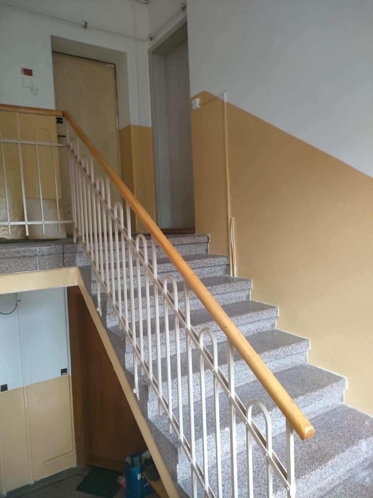 Roman Zajíček - malíř, natěrač foto 4