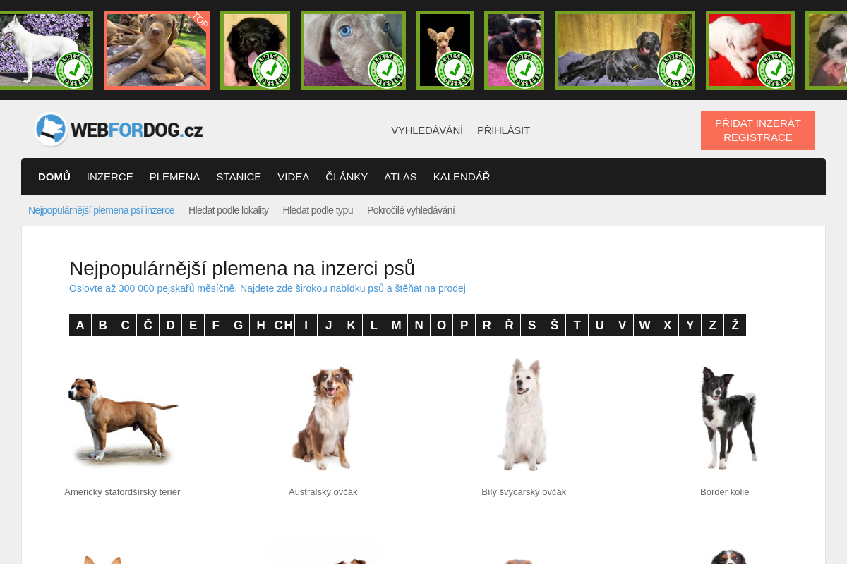 WEBFORDOG.cz