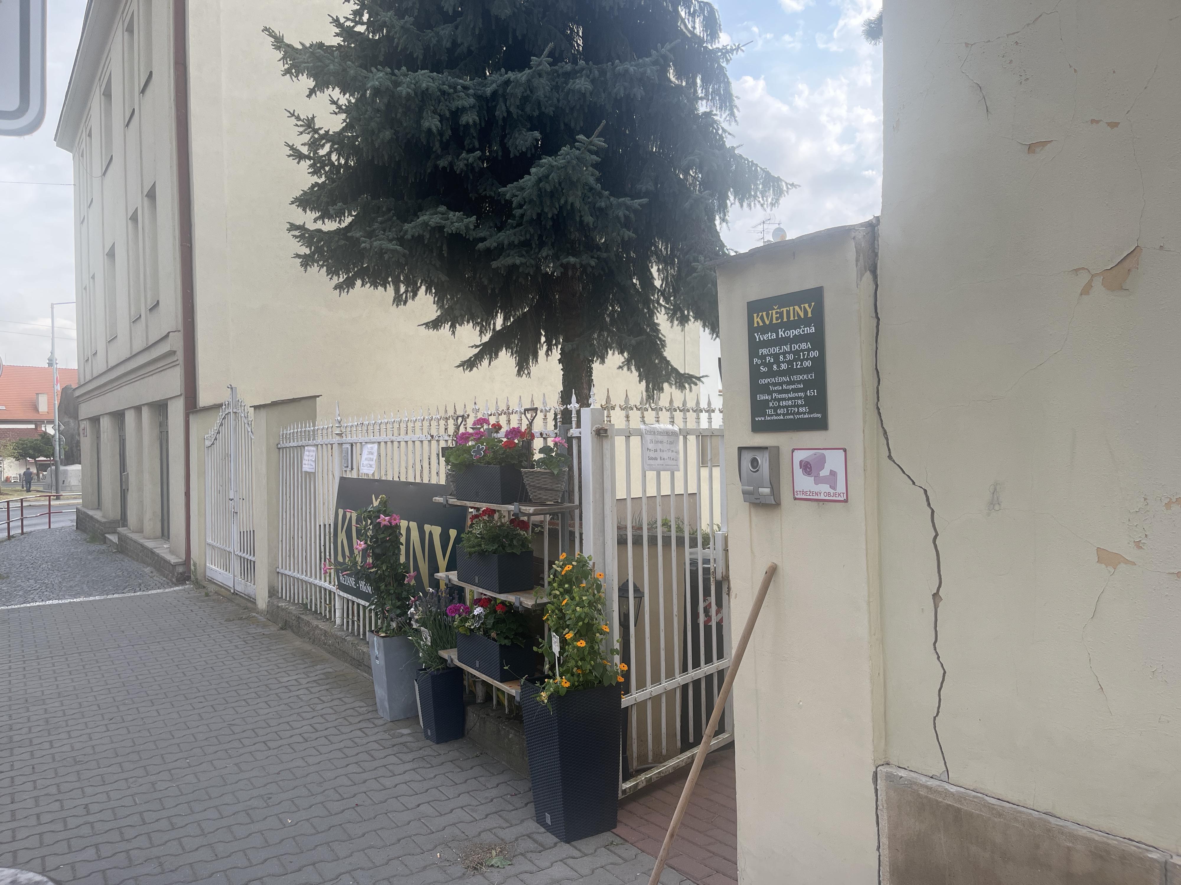 Yveta květiny