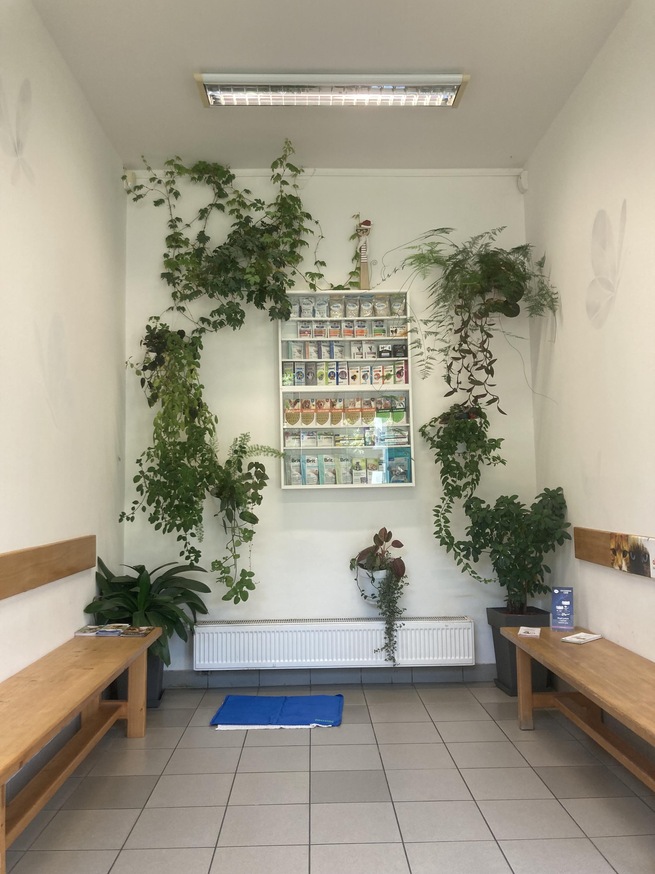 Veterinární klinika Červený Vrch, s.r.o. foto 2