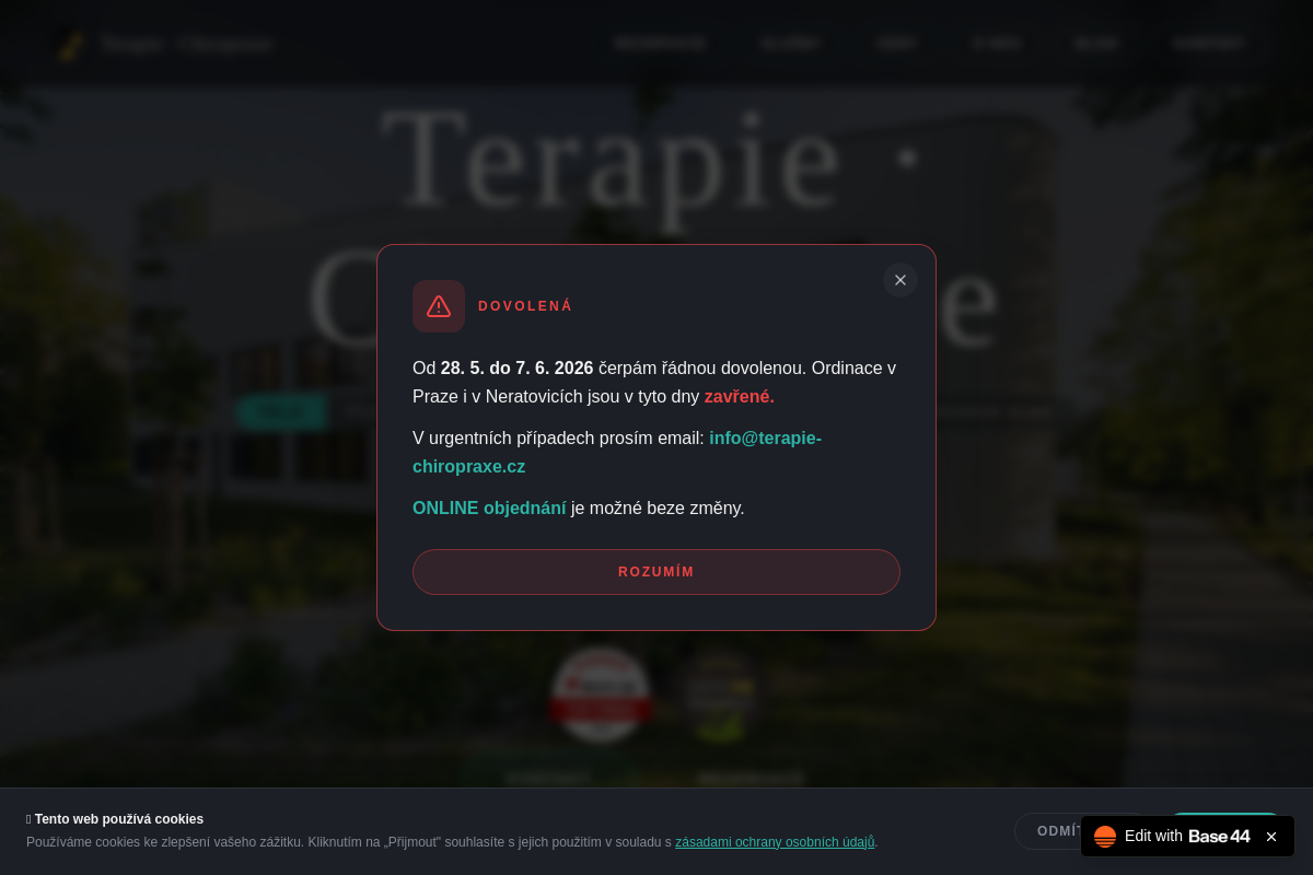 terapie-chiropraxe.cz