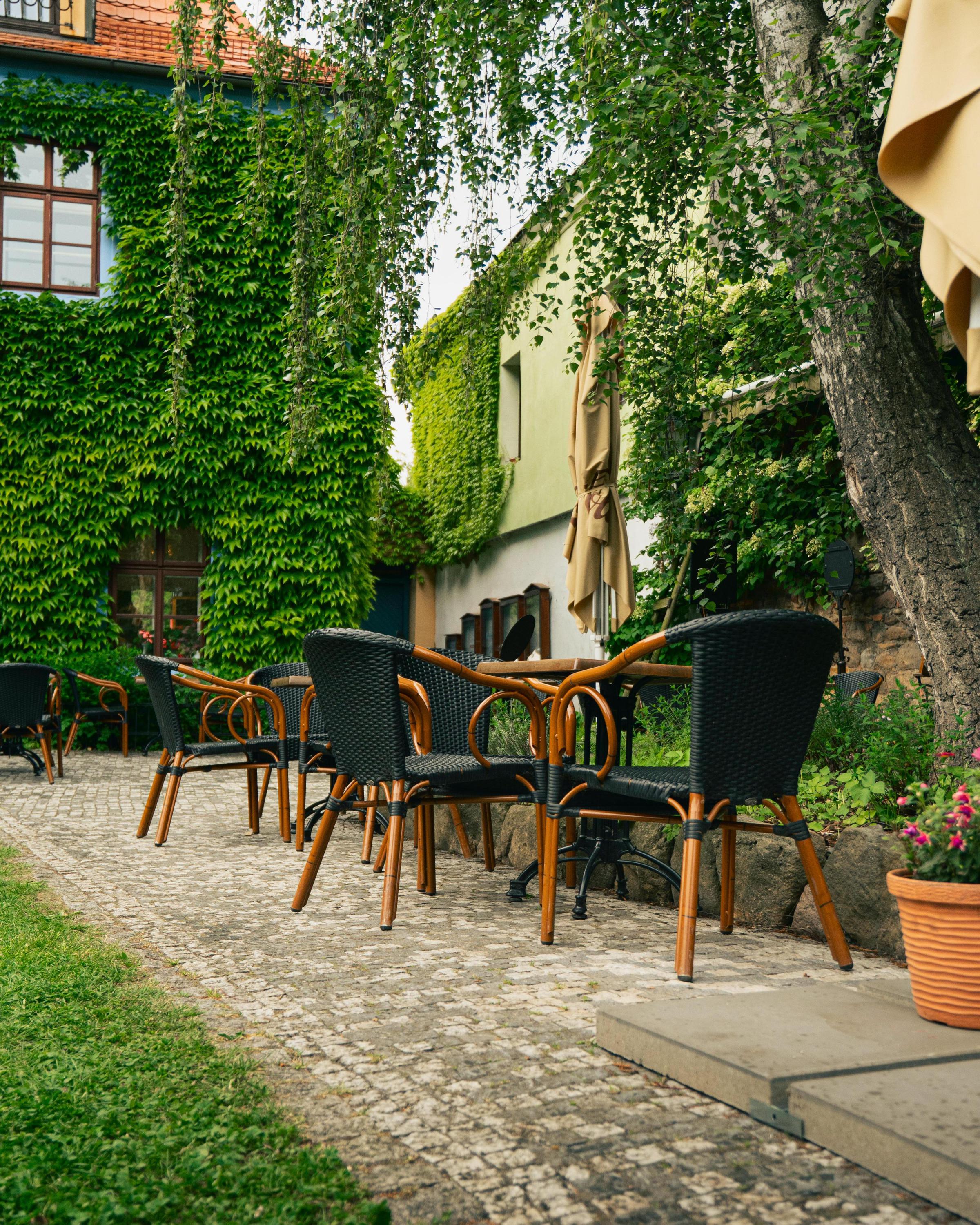 Cafe Modré dveře foto 1
