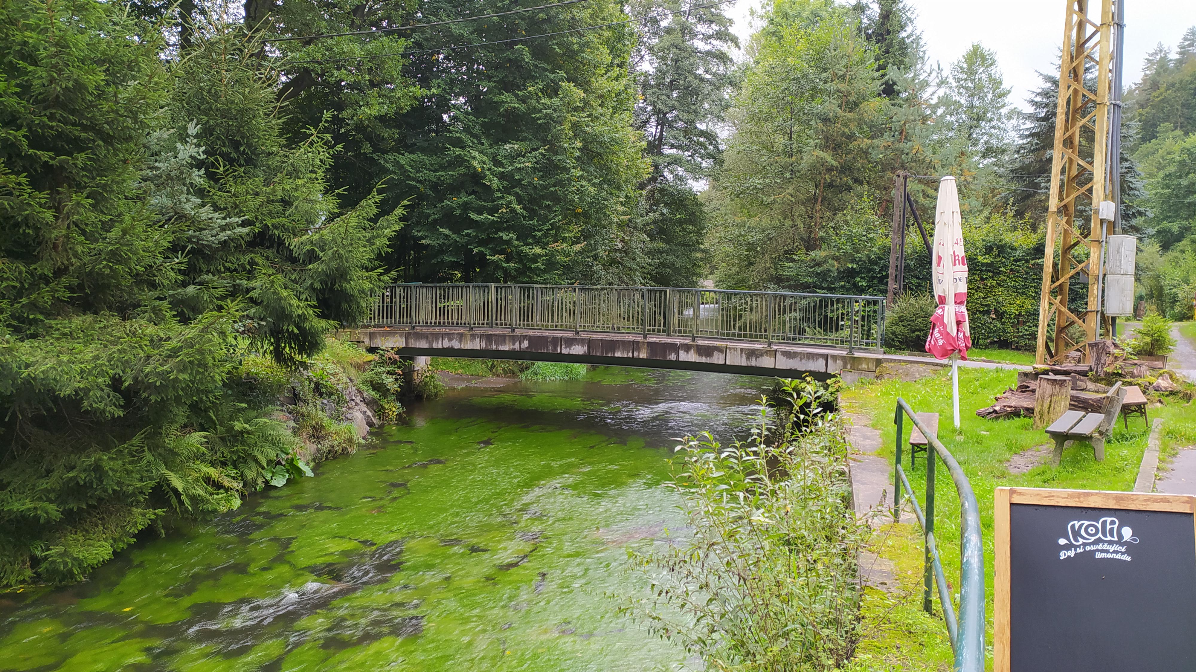 Občerstvení Srbská Kamenice foto 6