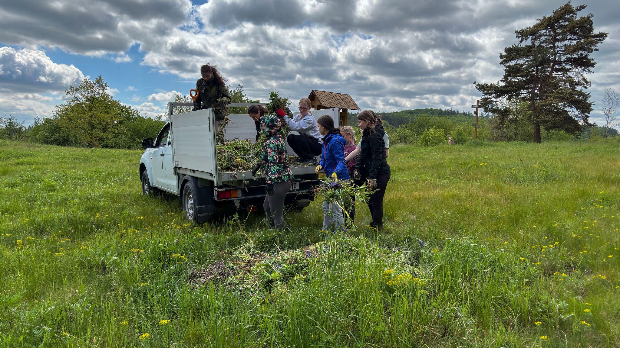Slezské odrůdy foto 2