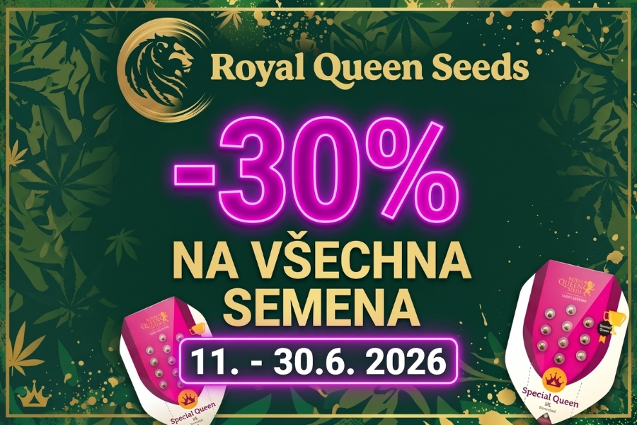 Royal Queen Seeds