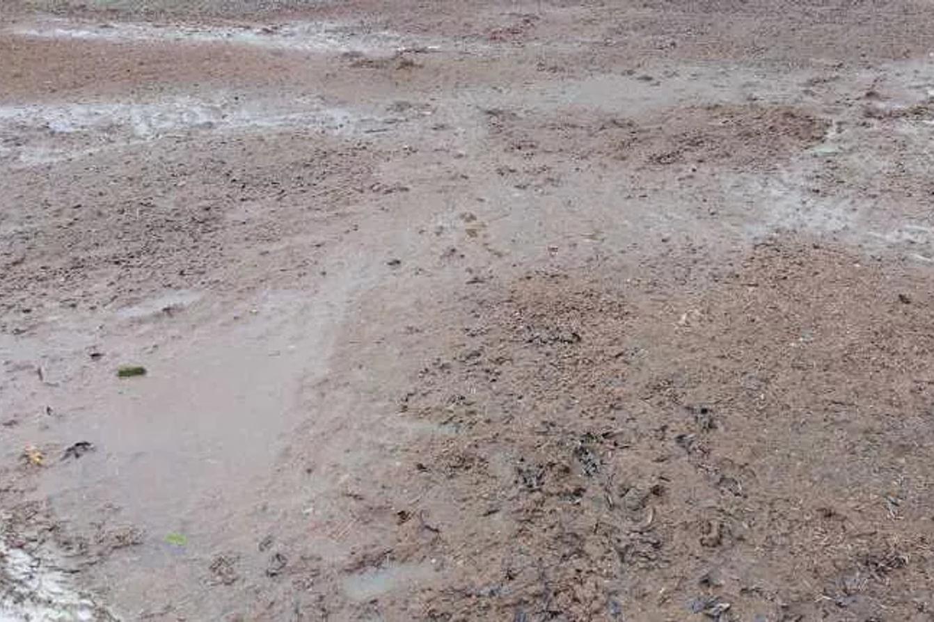 Odborná podpora při návrhu a realizaci trávníků