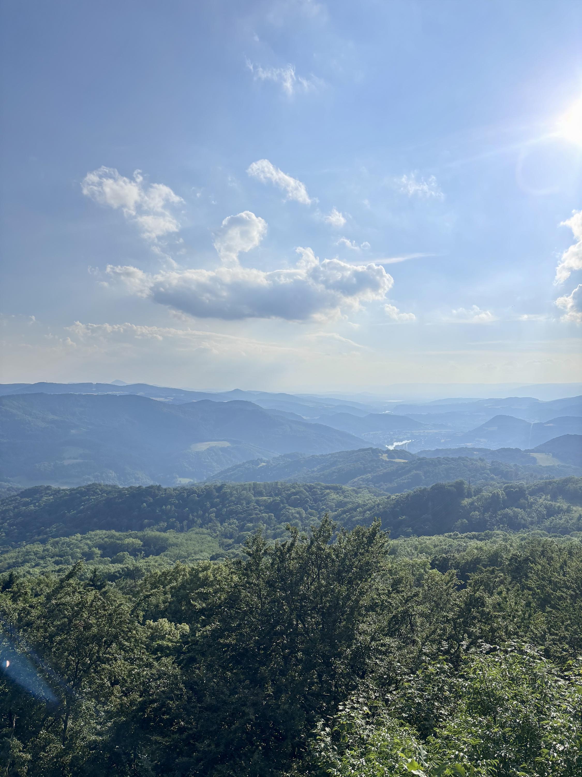 Krajská veterinární správa SVS pro Jihočeský kraj, Pracoviště Písek foto 6