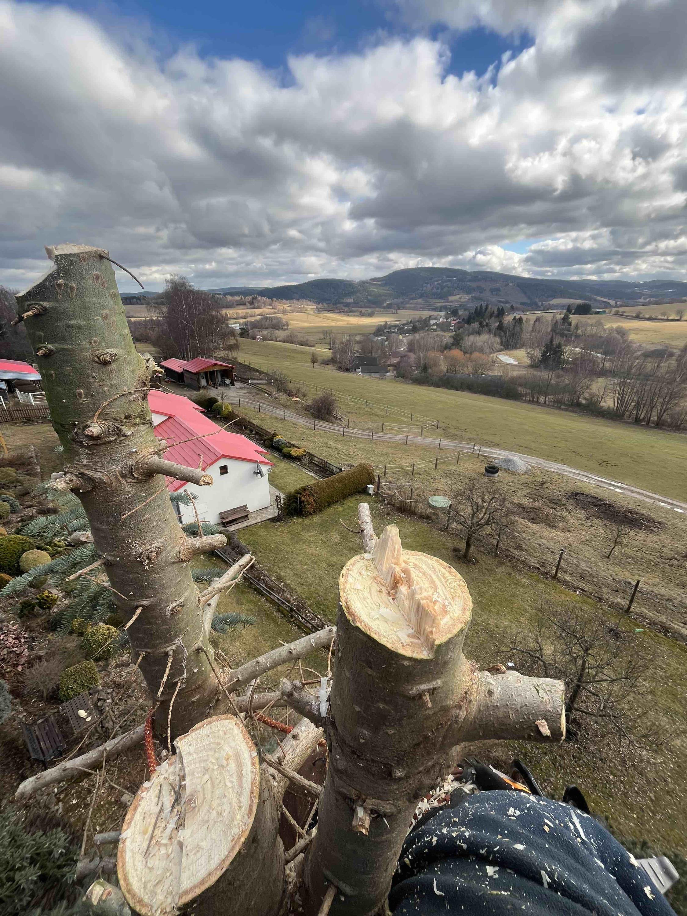 Zahrady Voráček - Arboristika, sečení a údržba zeleně foto 2