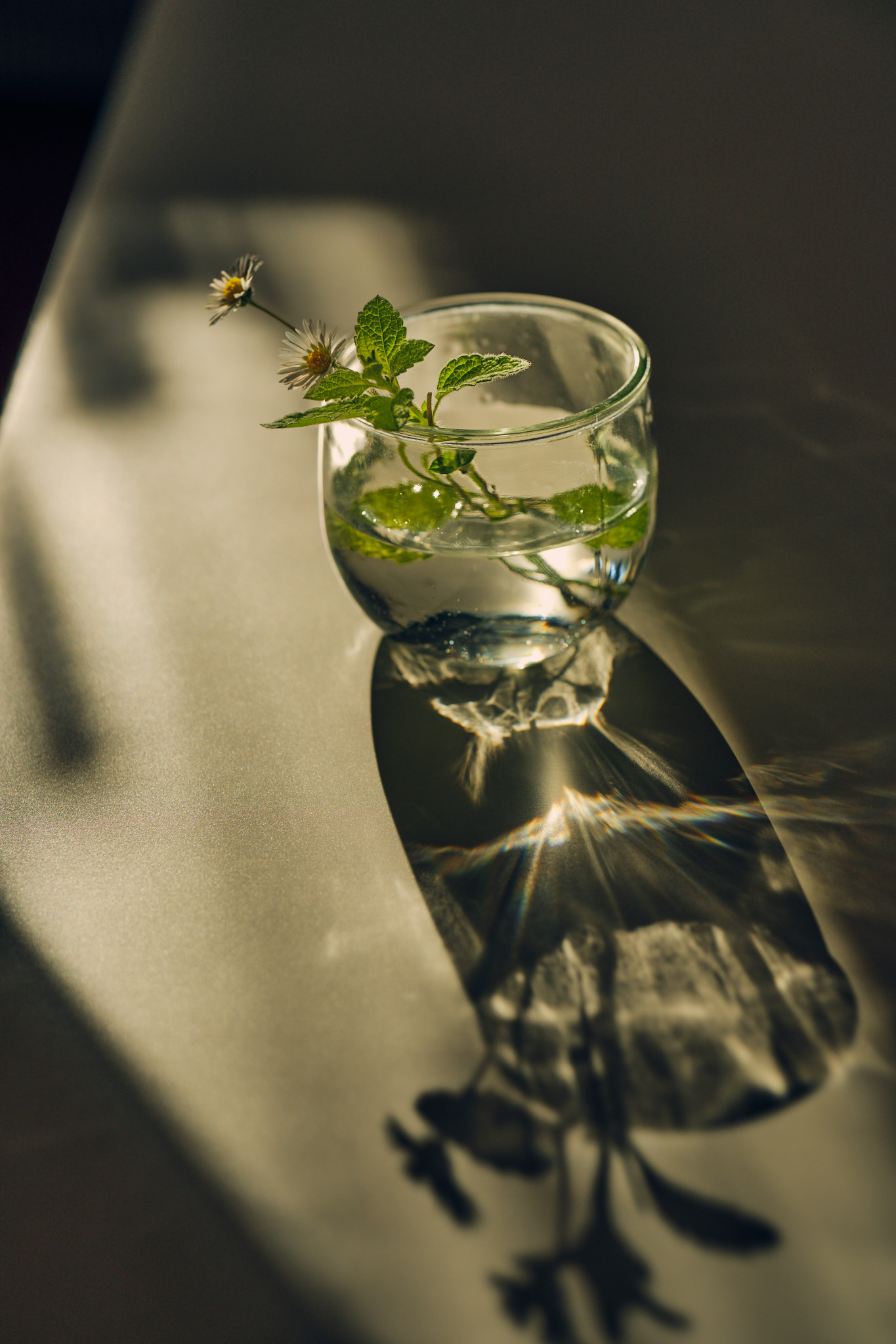 Jiří Paruza - Food fotograf foto 5