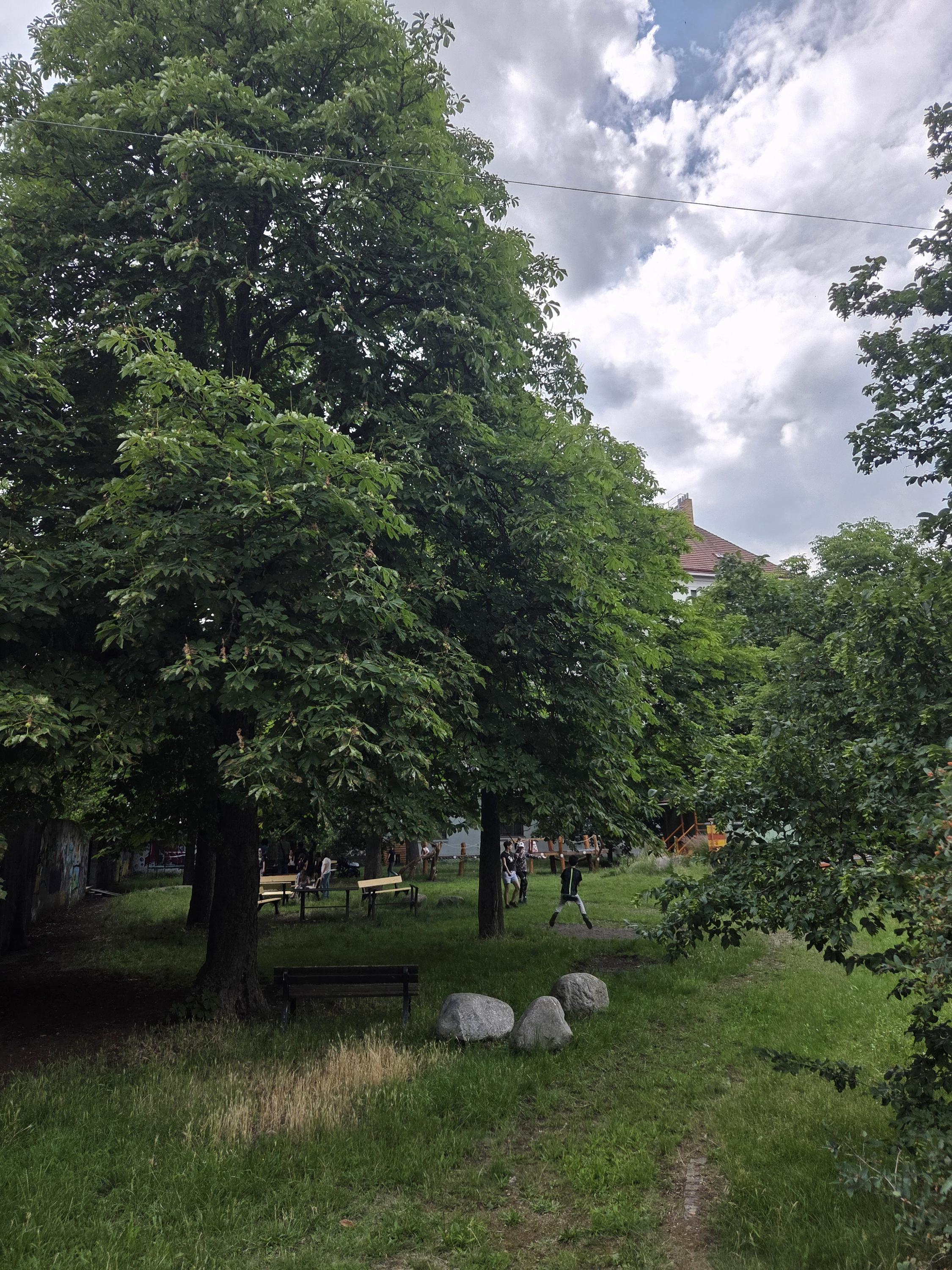 Bratrská škola - církevní základní škola foto 3