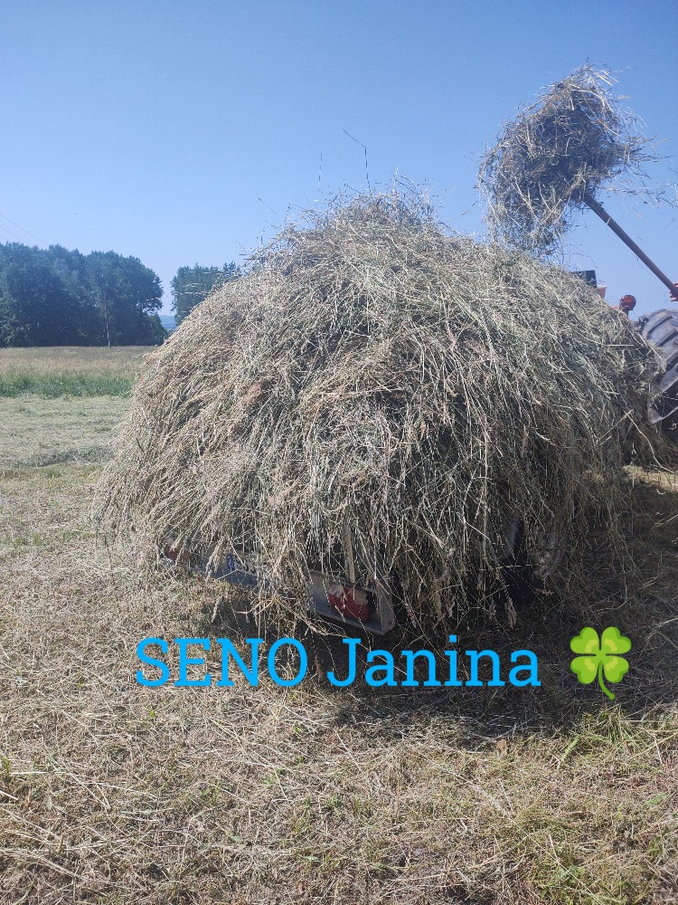 SENO Janina foto 3