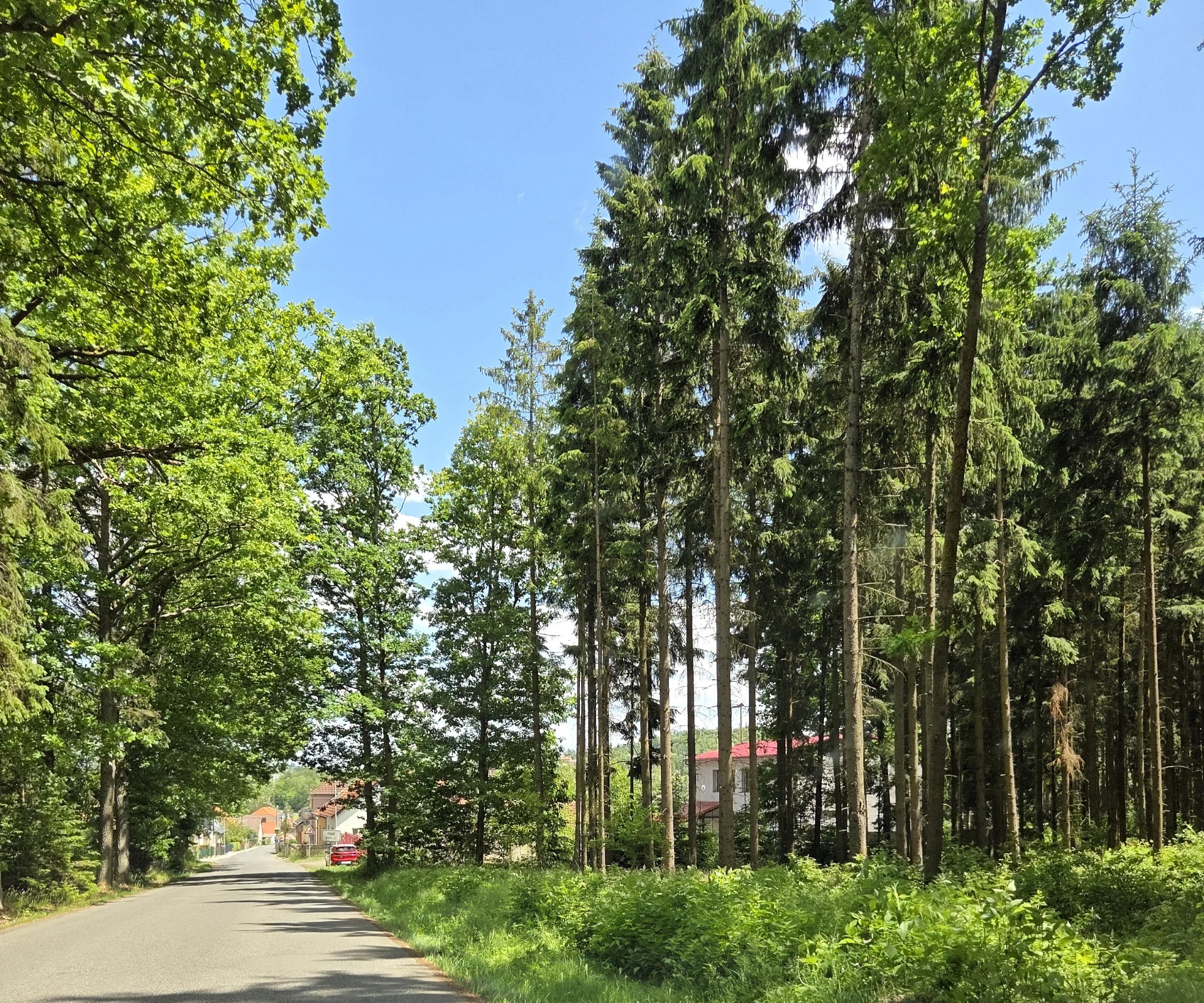 SDH Podlesí foto 2