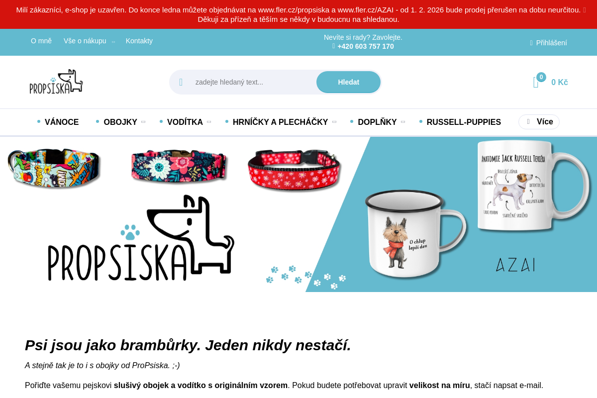 Propsiska.cz foto 1