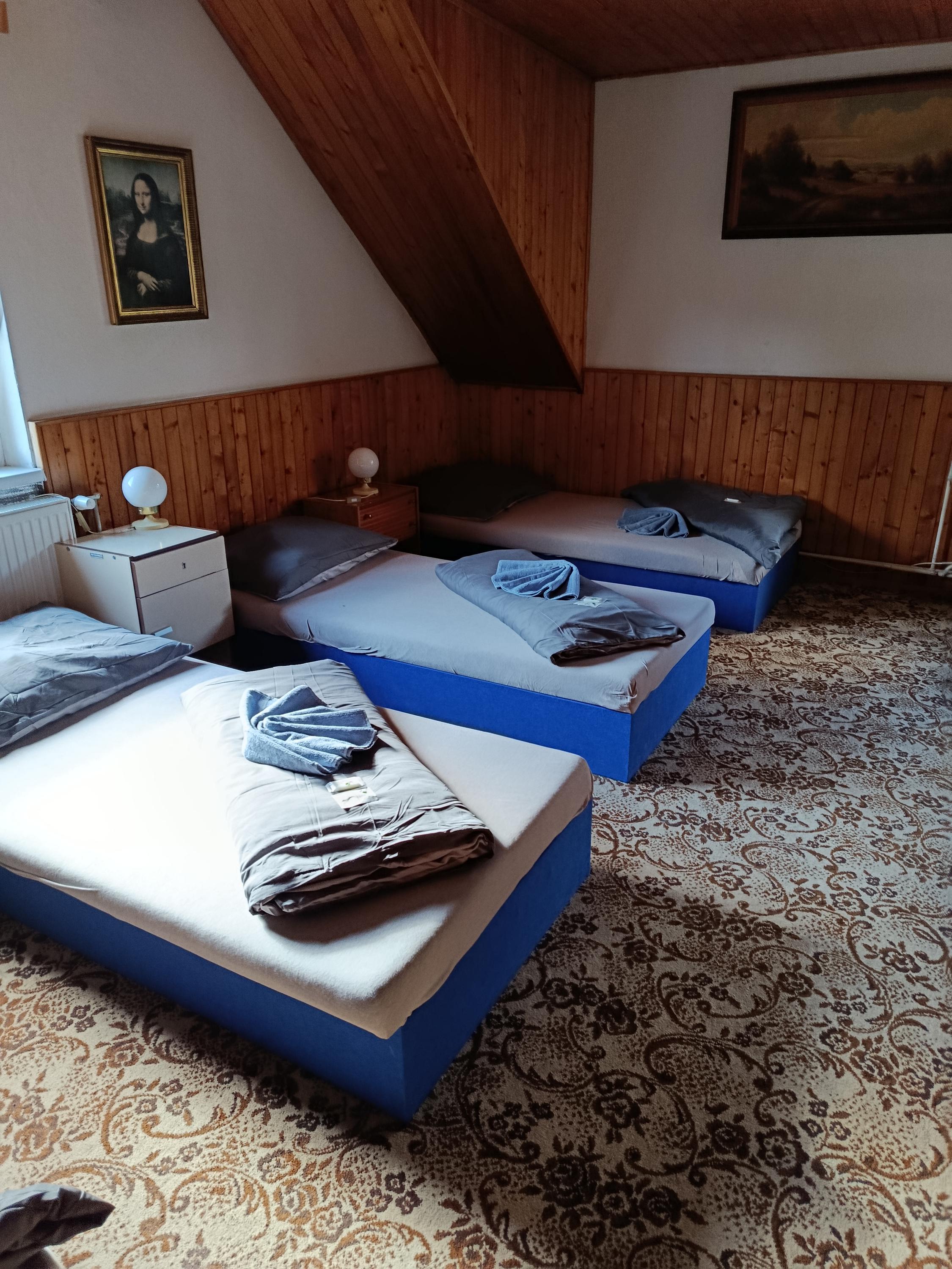 Penzion u Skrblika foto 3