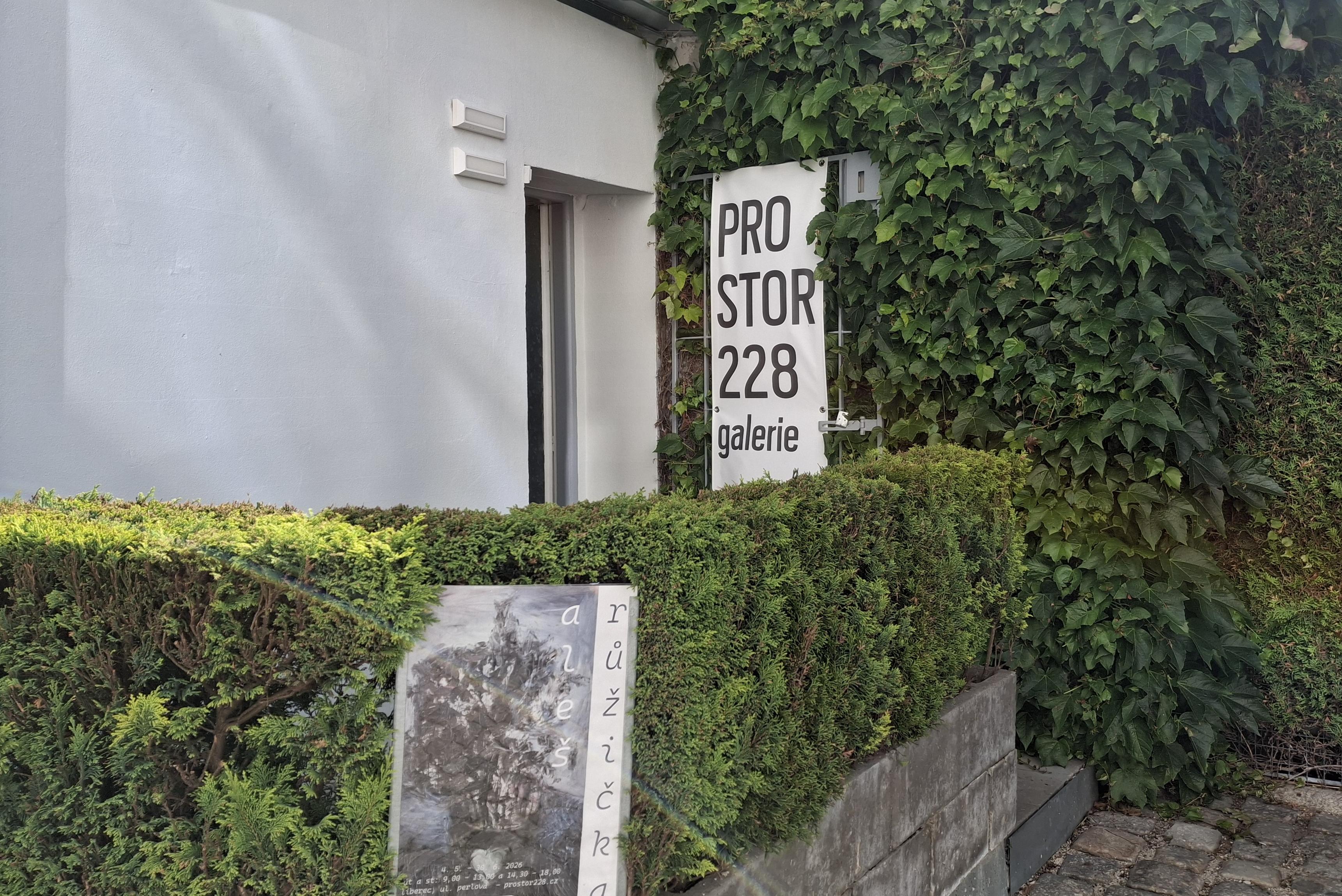 Galerie Prostor 228