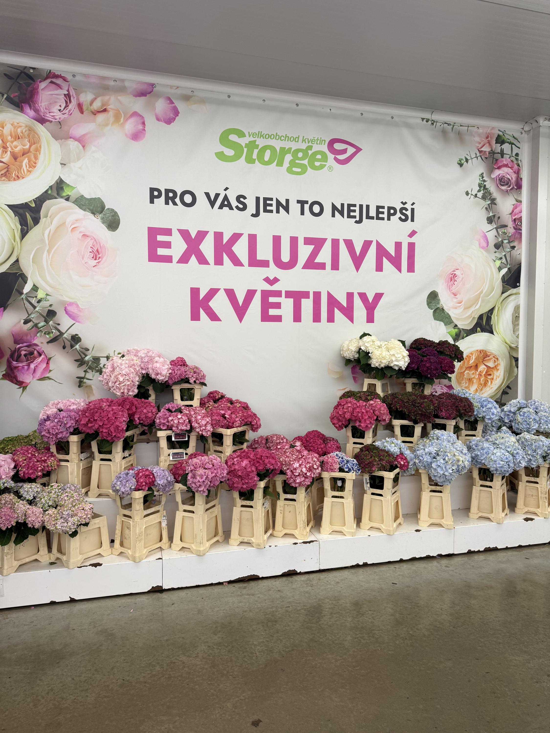 STORGE, s.r.o. foto 3