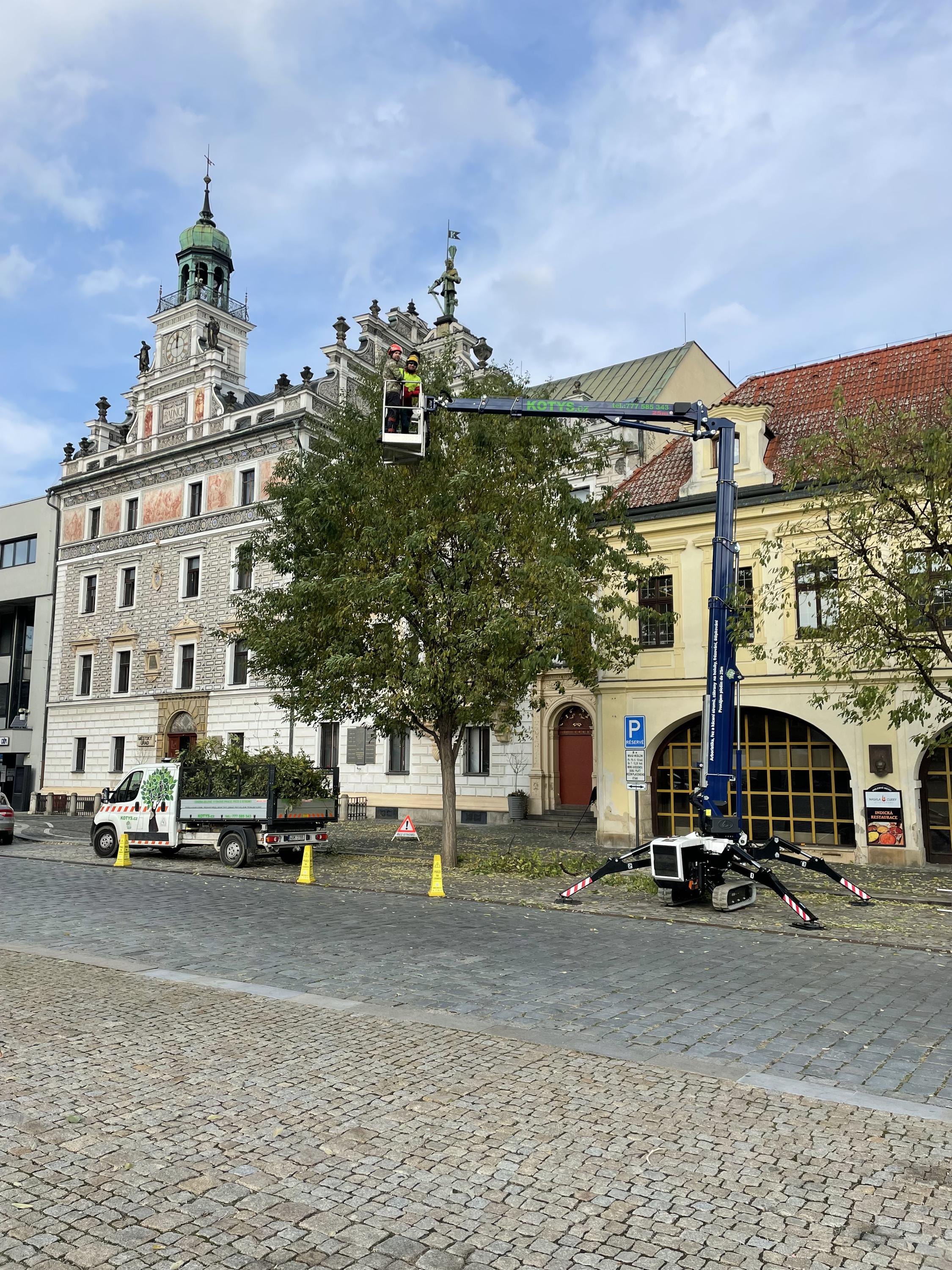 Kotys - údržba zeleně a výškové práce foto 6