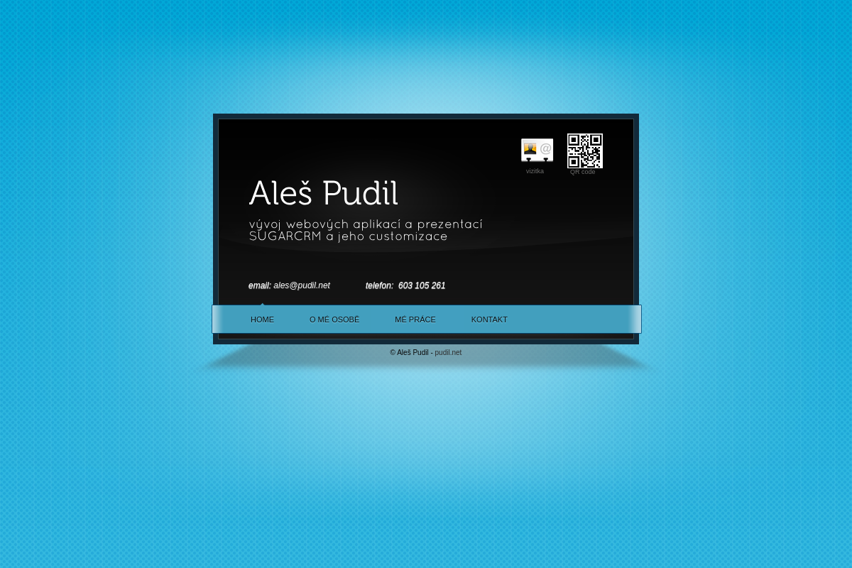 Aleš Pudil