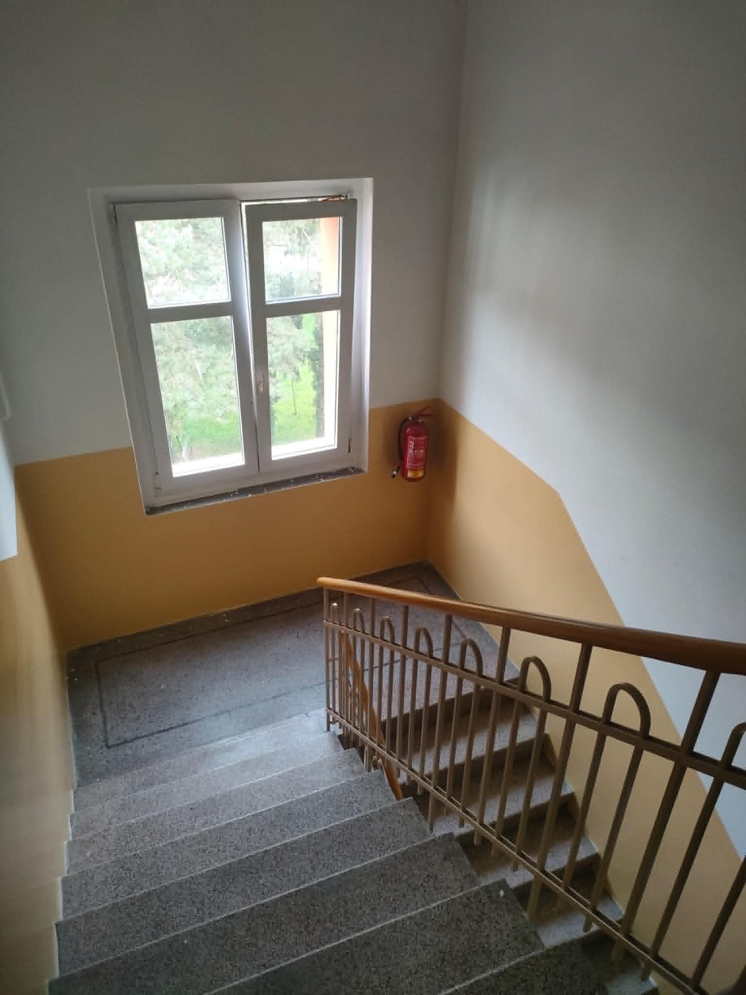 Roman Zajíček - malíř, natěrač foto 3