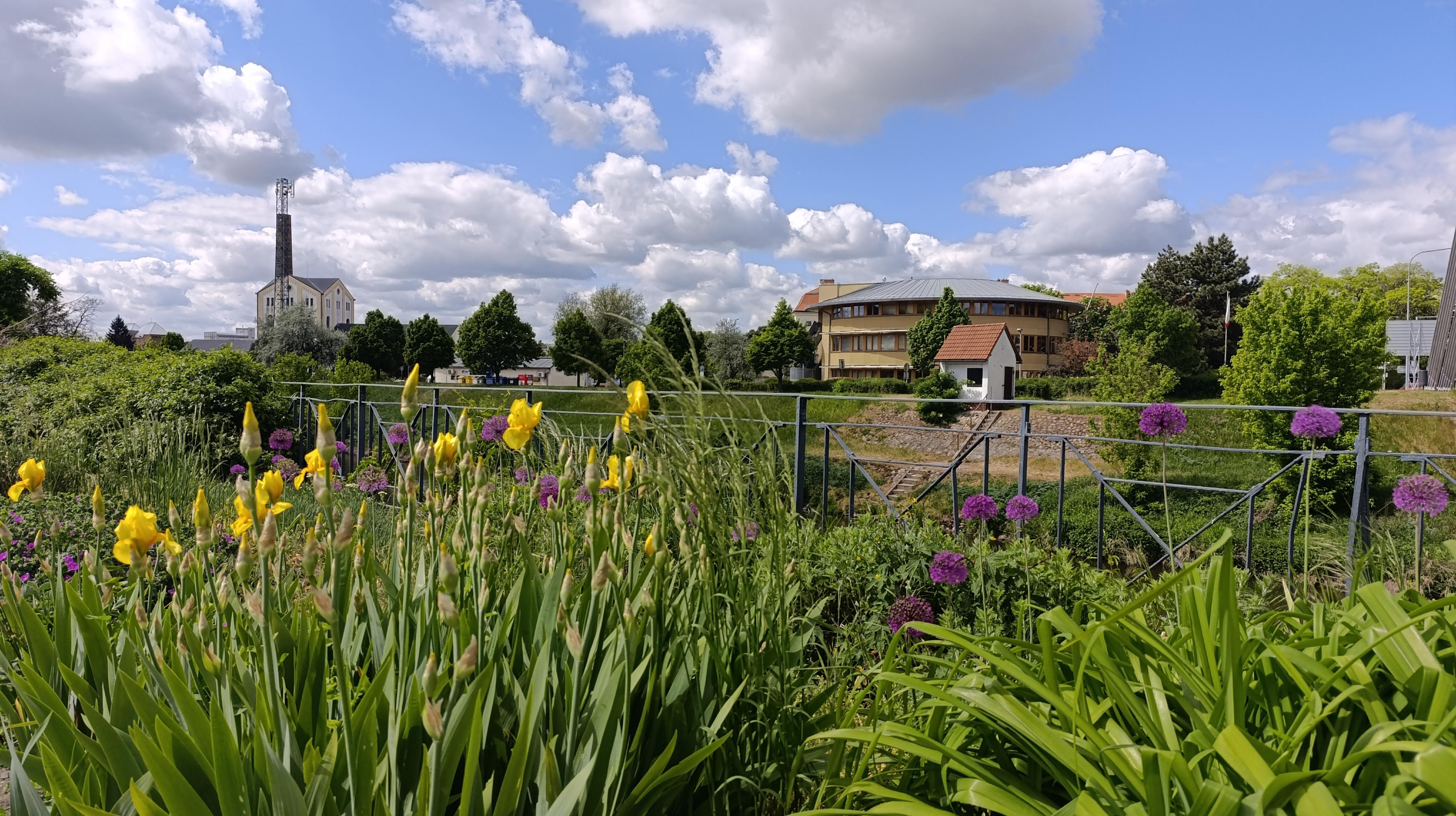 Živnostenský úřad Židlochovice foto 4
