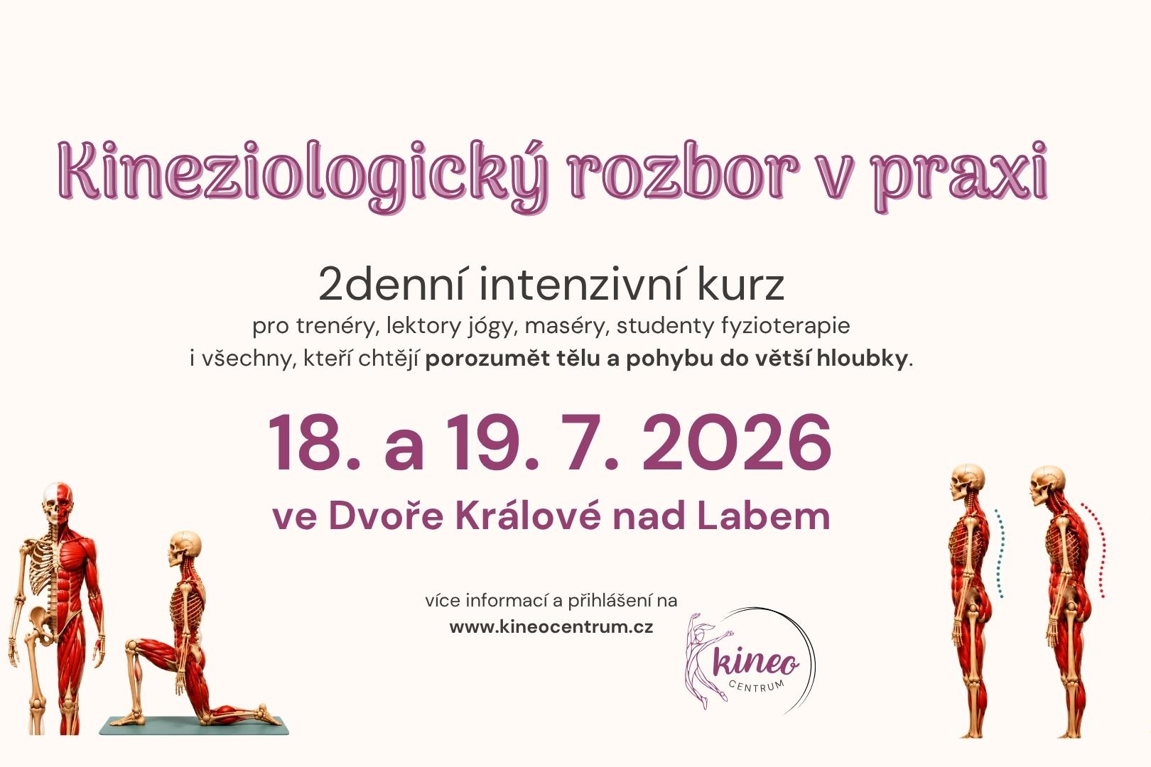 Kineziologický rozbor v praxi