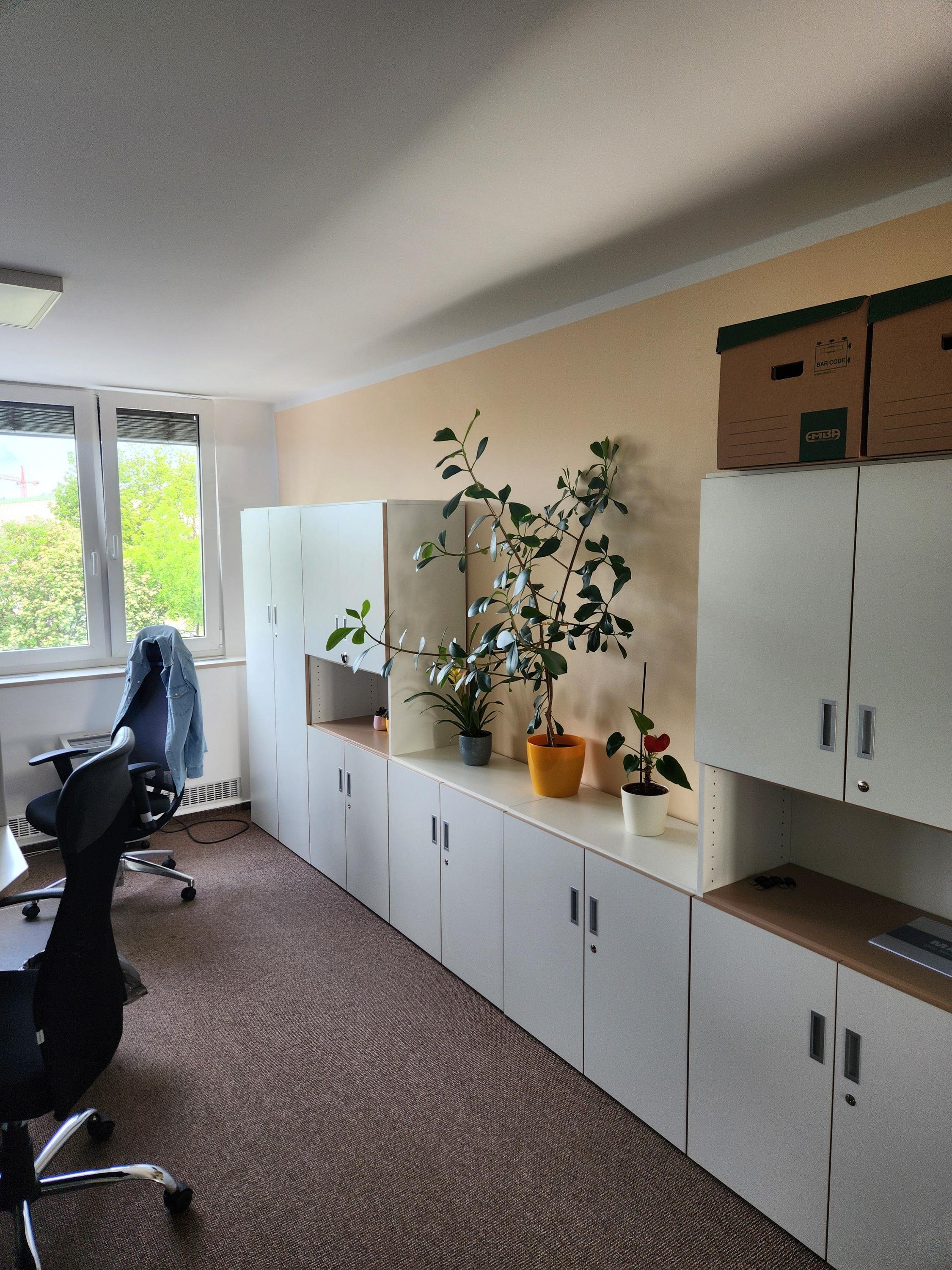 Barevný servis – výmalby od A do Z foto 5