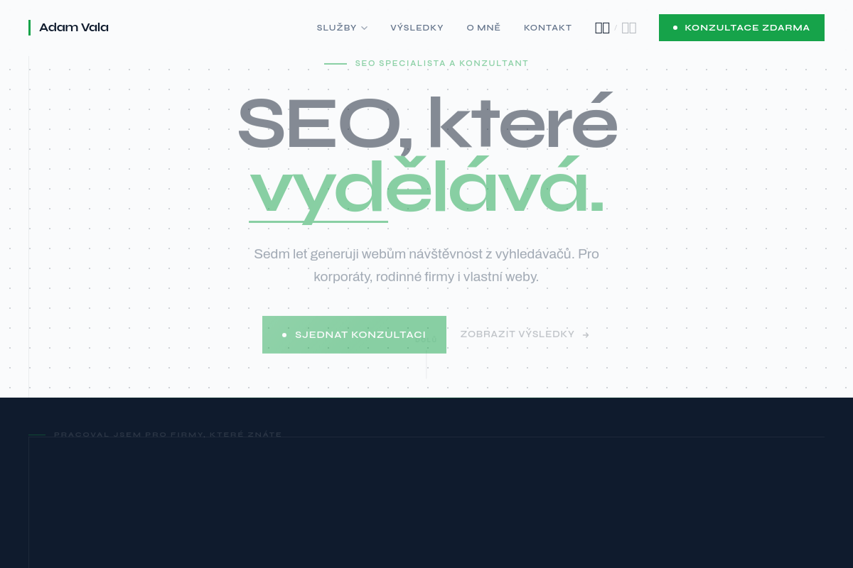 Adam Vala - SEO specialista a konzultant