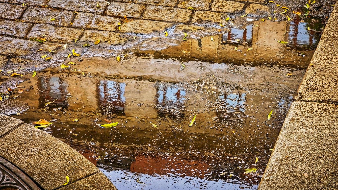 Městská knihovna v Praze - Ústřední knihovna foto 4