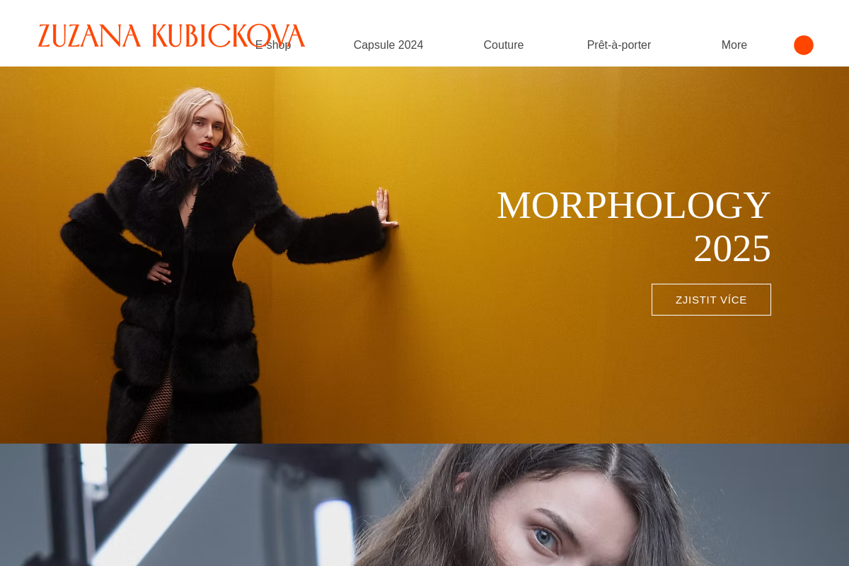 Zuzanakubickova.com