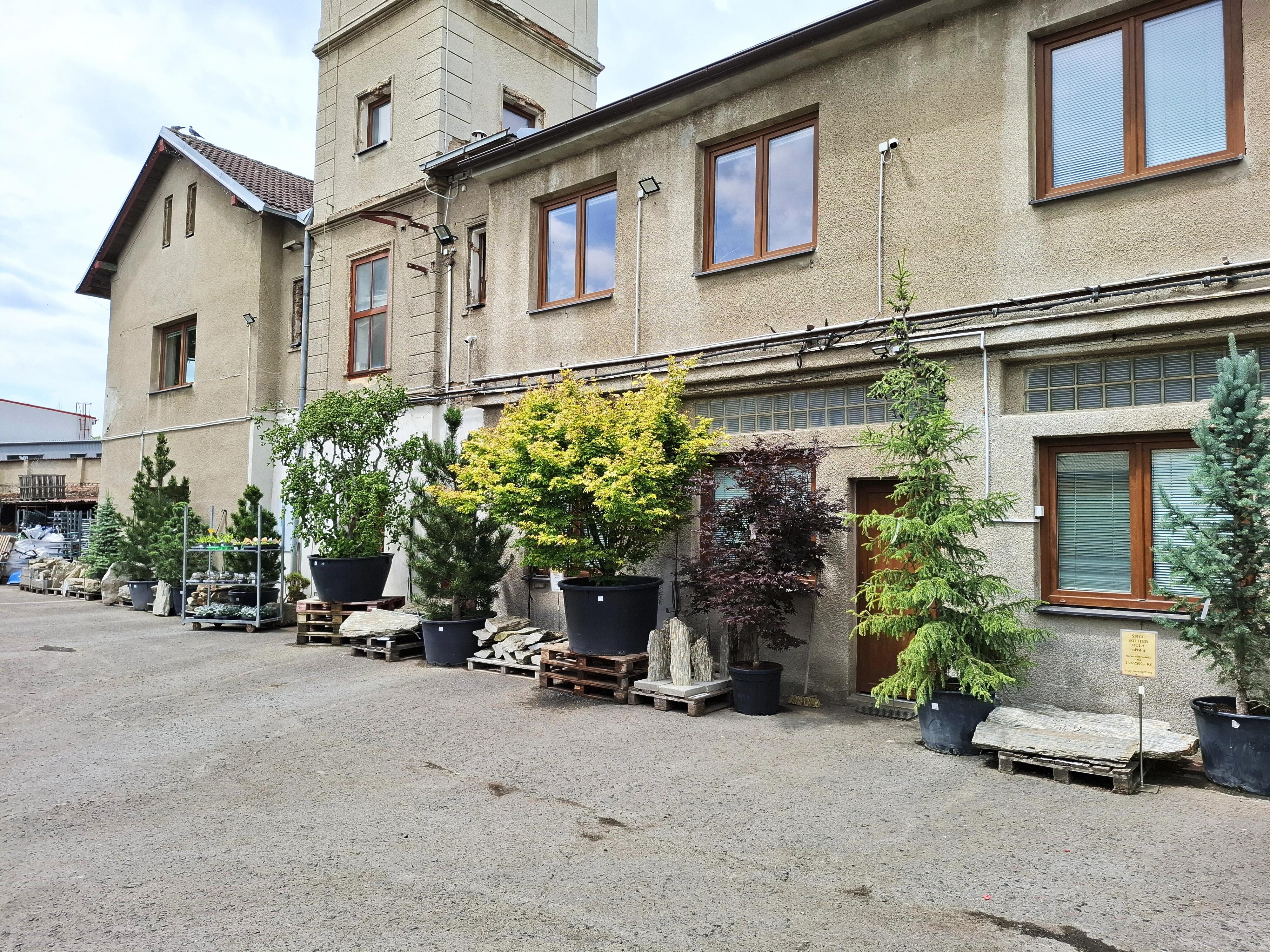 Zahradnické Centrum Grüner foto 5