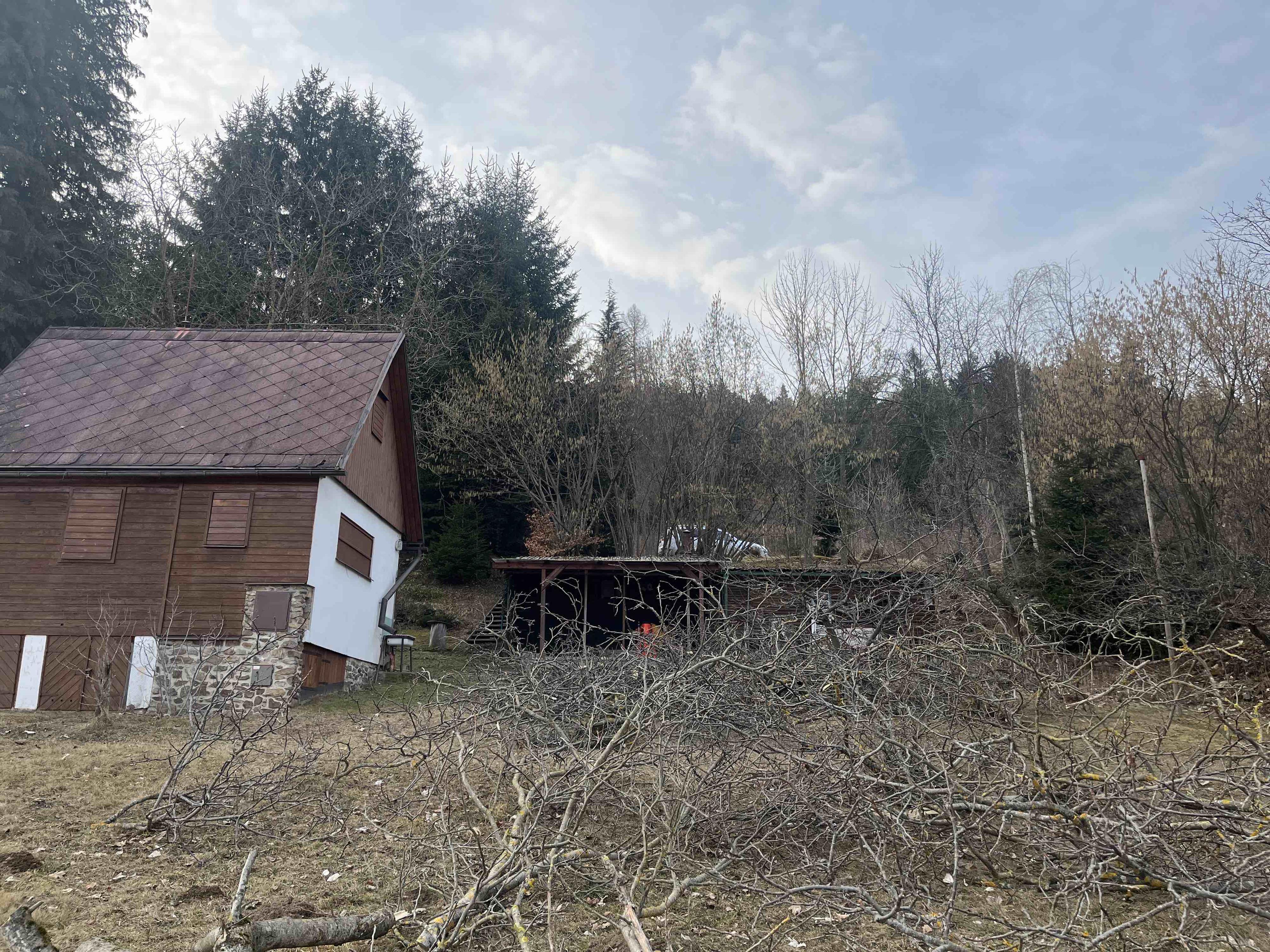 Zahrady Voráček -  Arboristika, sečení a údržba zeleně foto 5