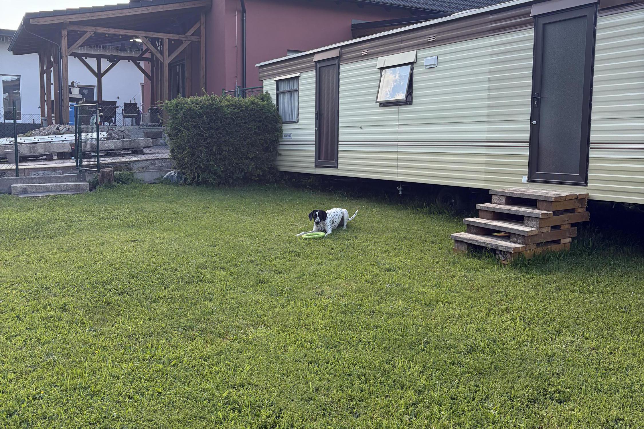 NejDog psí hotel