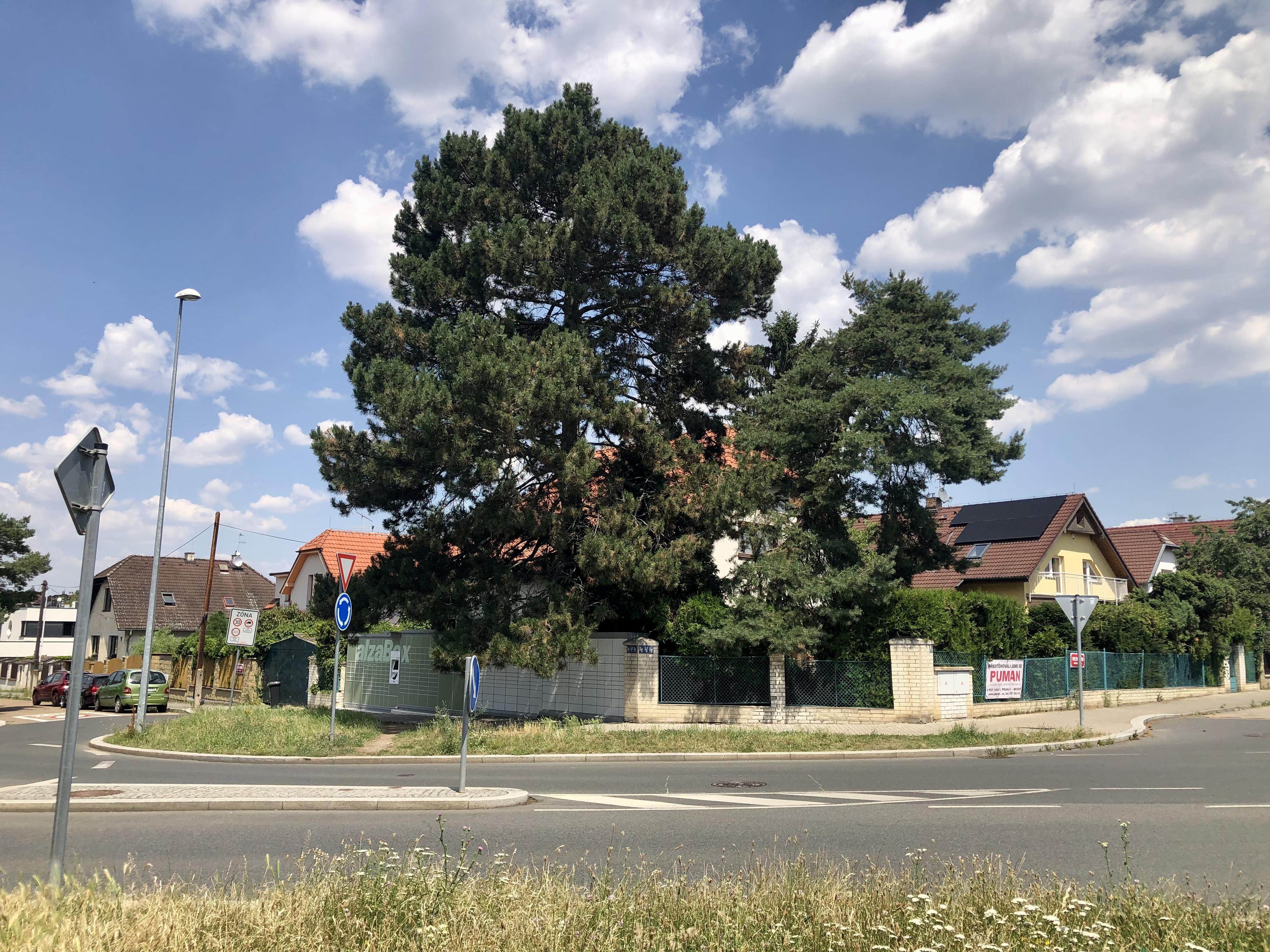 Z-BOX foto 2