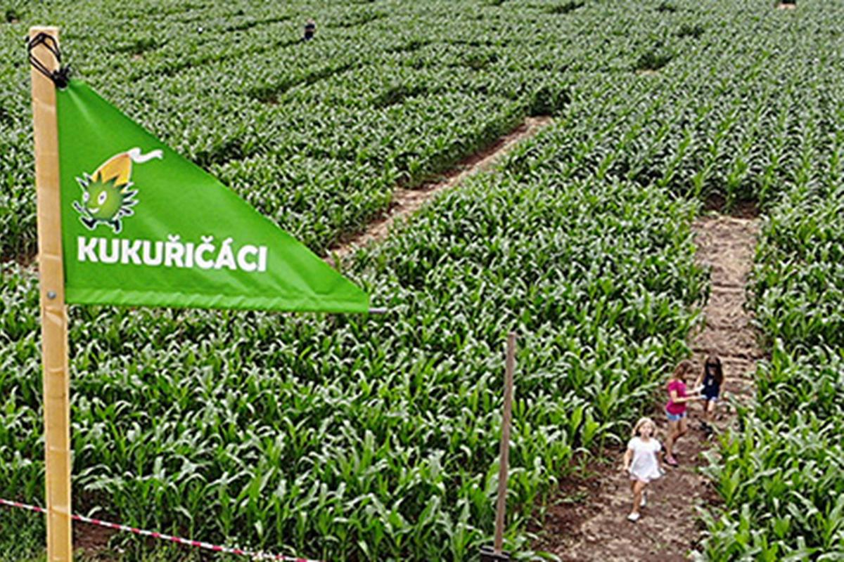Kukuřičáci – Obří kukuřičné bludiště Pasohlávky
