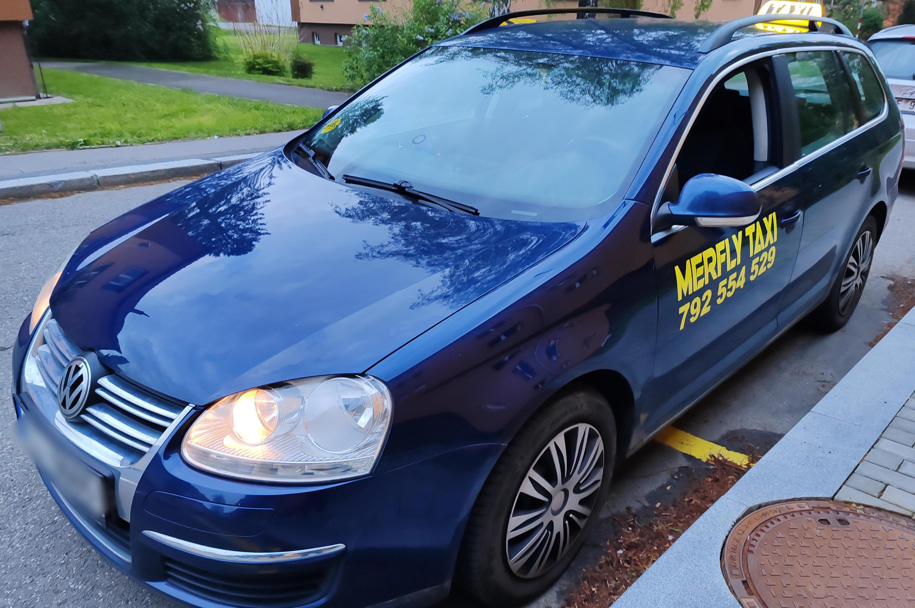 MERFLY TAXI